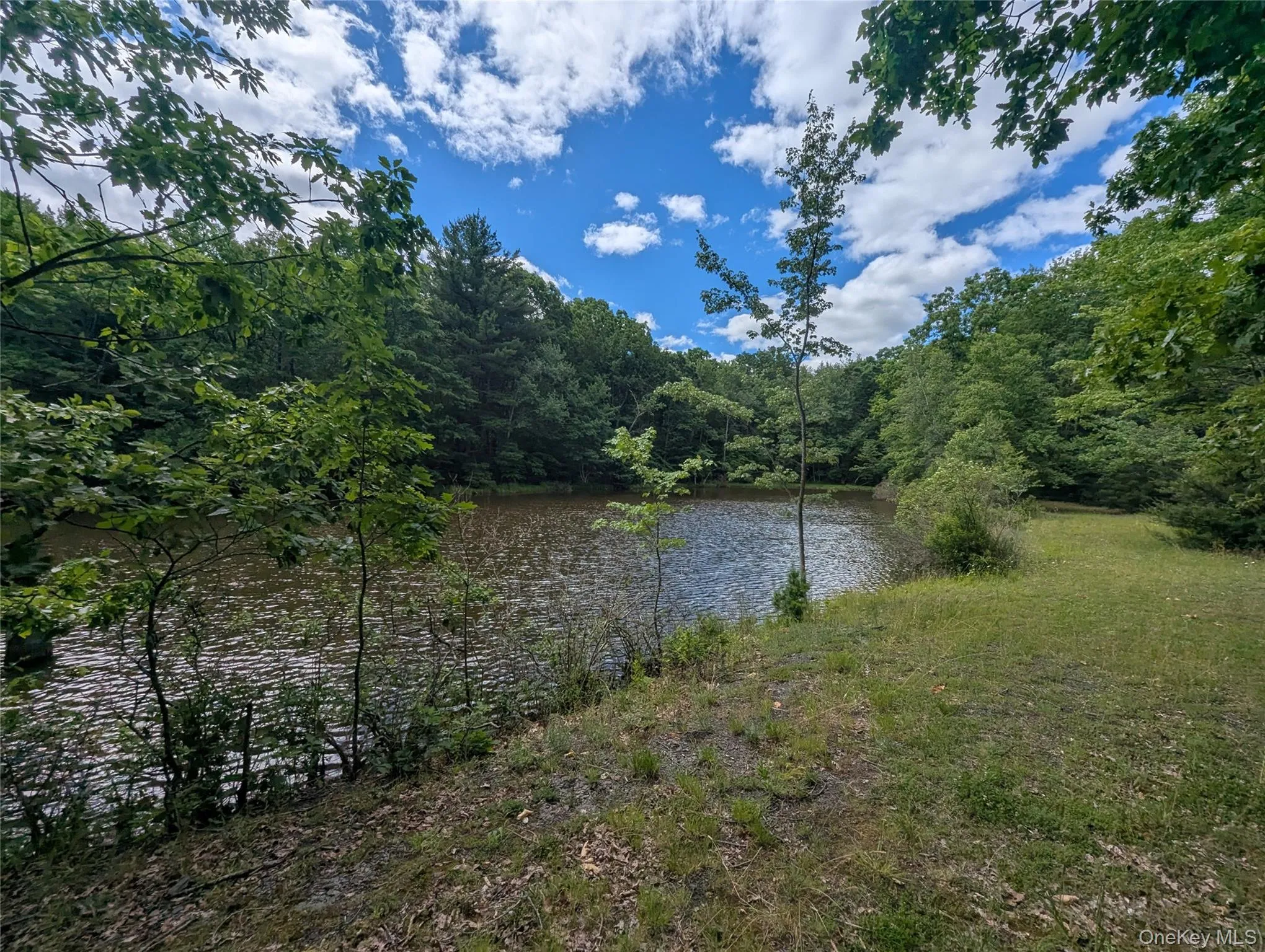 Hide Away Lane, Mamakating, NY, ,Land,For Rent,Hide Away,0,1011443 Hide Away Lane, Mamakating, NY, ,Land,For Rent,Hide Away,0,1011443