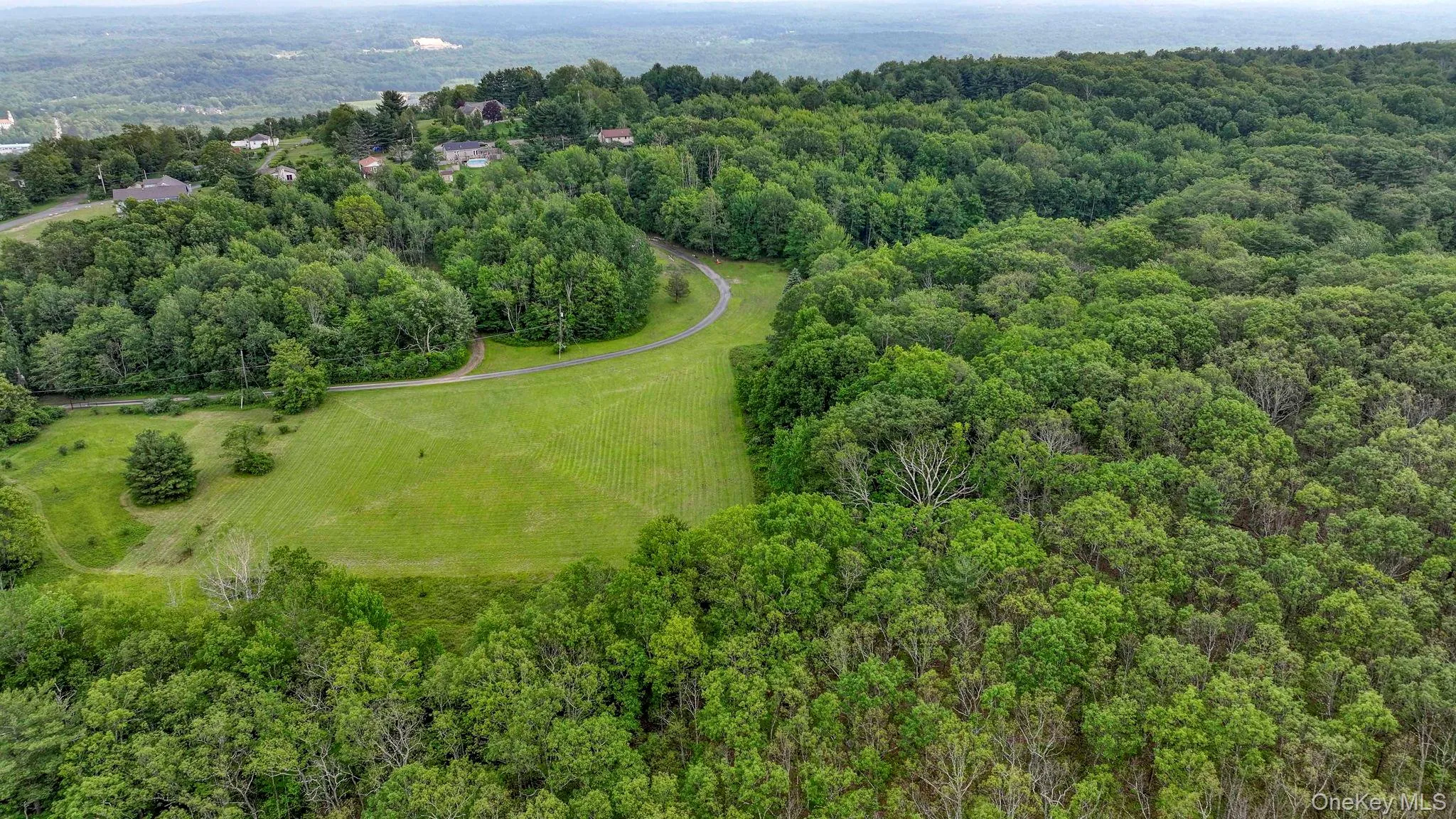 Aerial view of a forest Aerial view of a forest