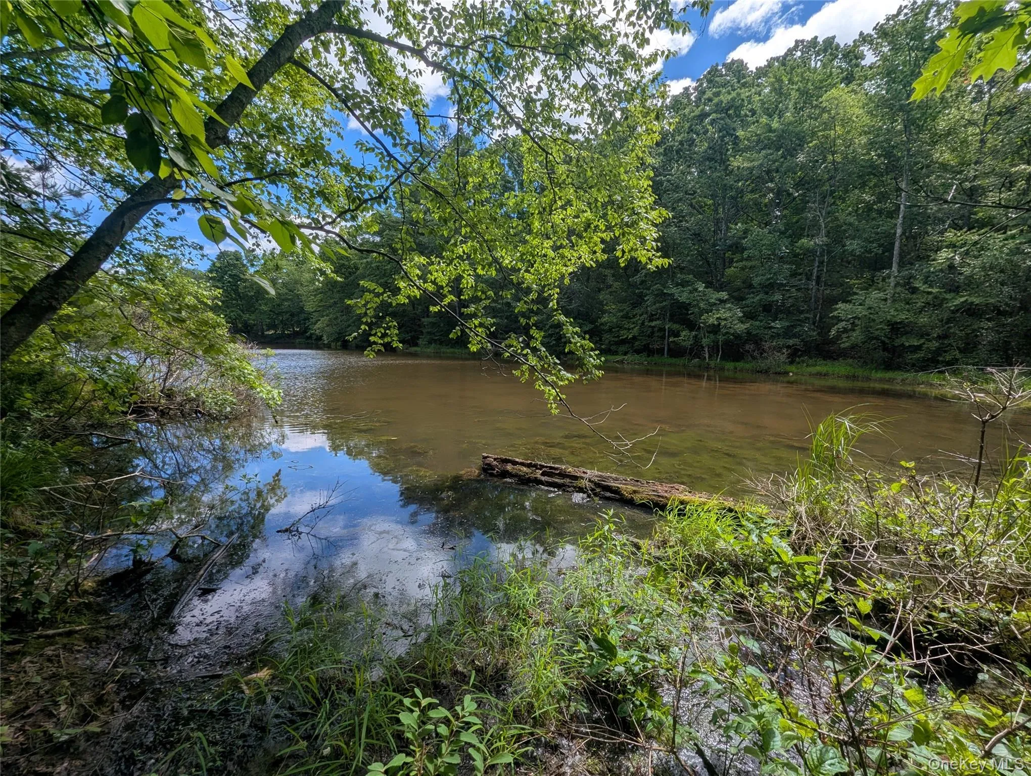 Hide Away Lane, Mamakating, NY, ,Land,For Rent,Hide Away,0,1011443 Hide Away Lane, Mamakating, NY, ,Land,For Rent,Hide Away,0,1011443