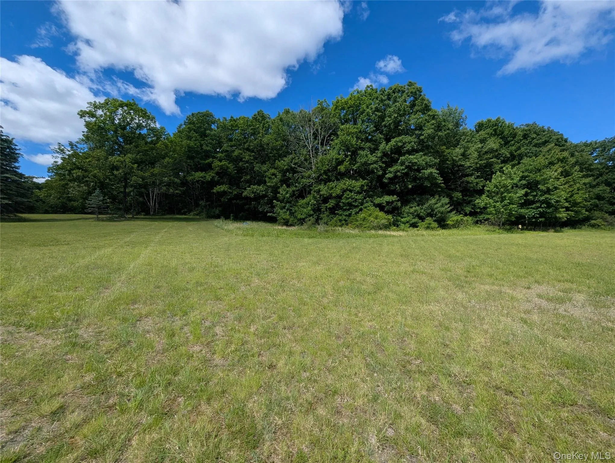 Level, cleared buildable lot Level, cleared buildable lot