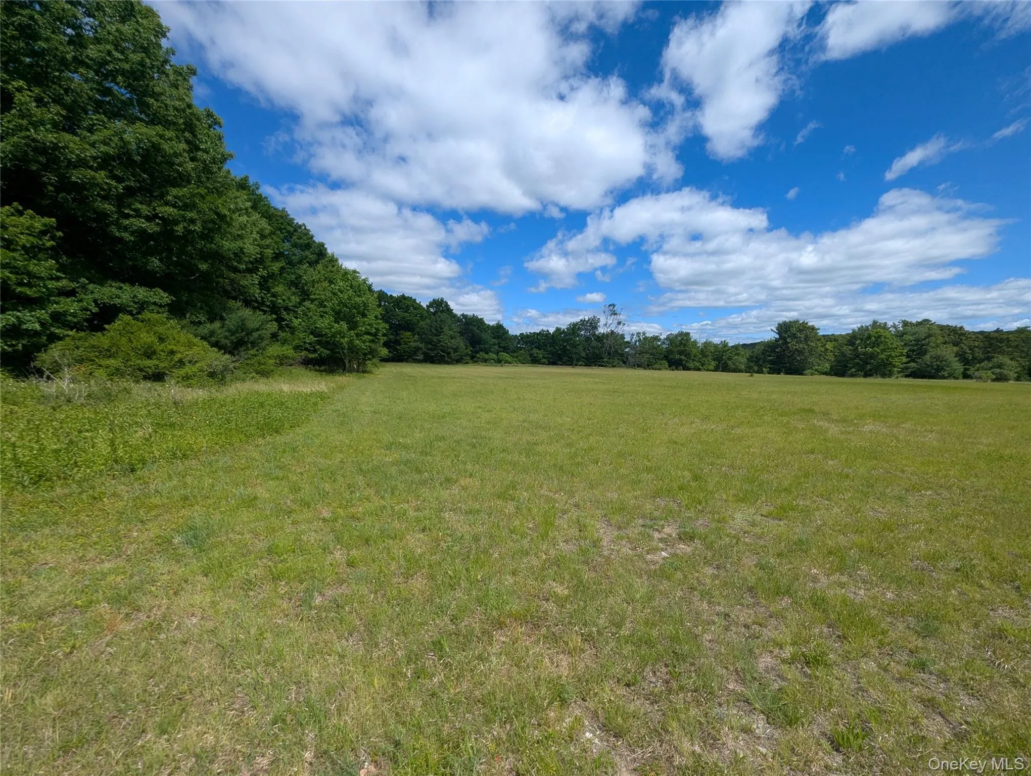 Level, cleared buildable lot Level, cleared buildable lot