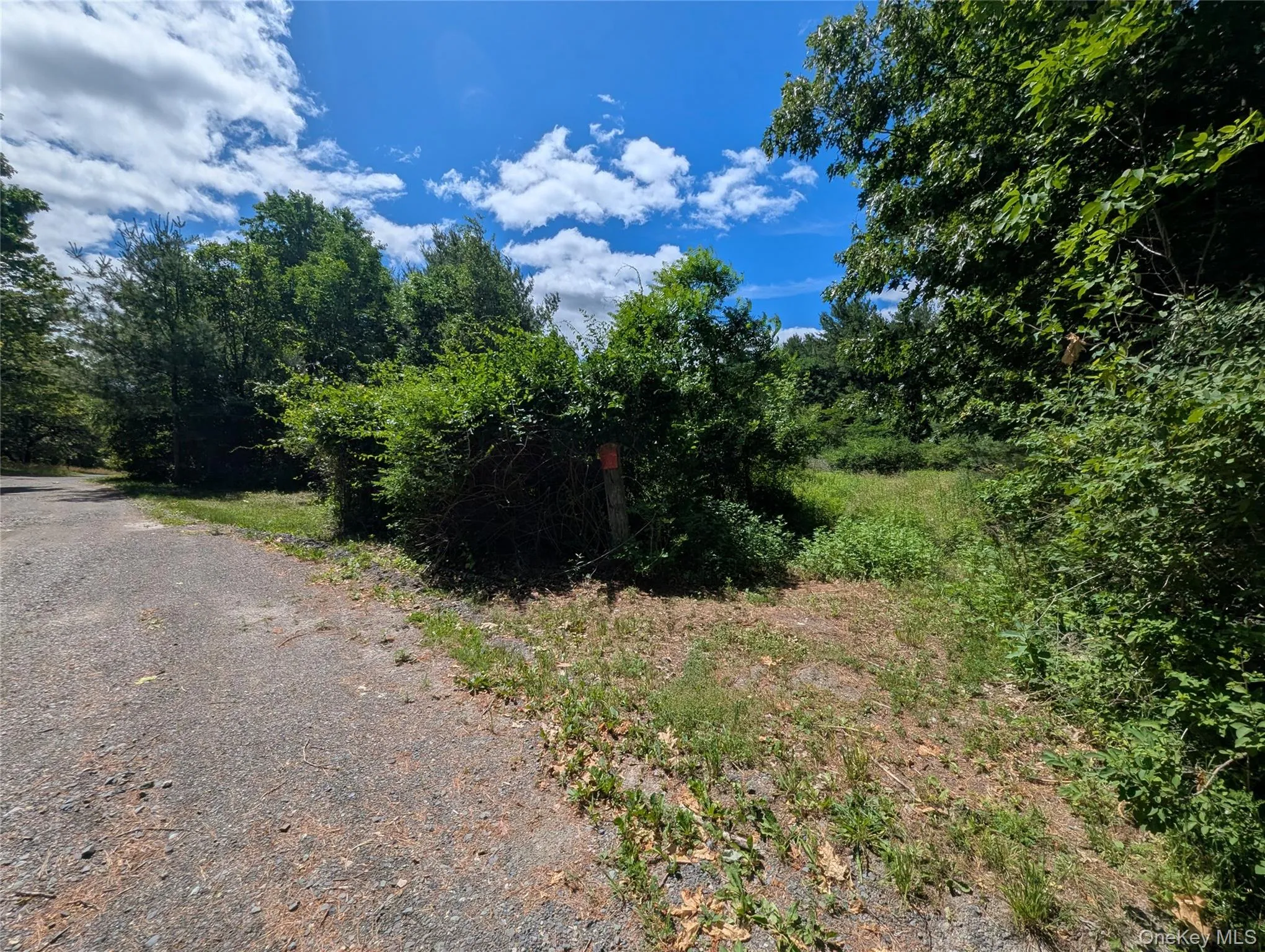 The "Ridge" potential future buildable lot located further up High View Terrace The "Ridge" potential future buildable lot located further up High View Terrace