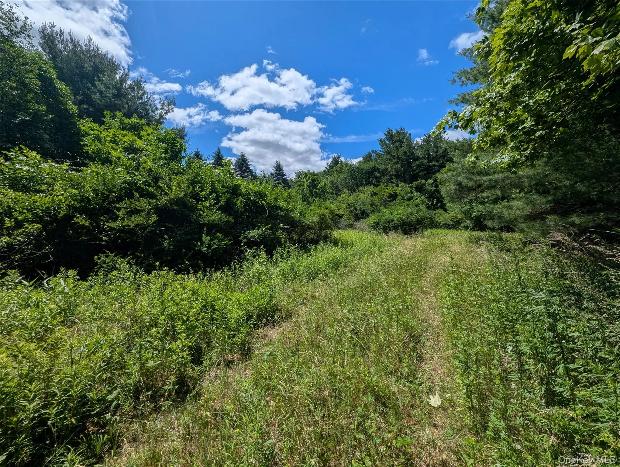 The "Ridge" potential future buildable lot located further up High View Terrace The "Ridge" potential future buildable lot located further up High View Terrace