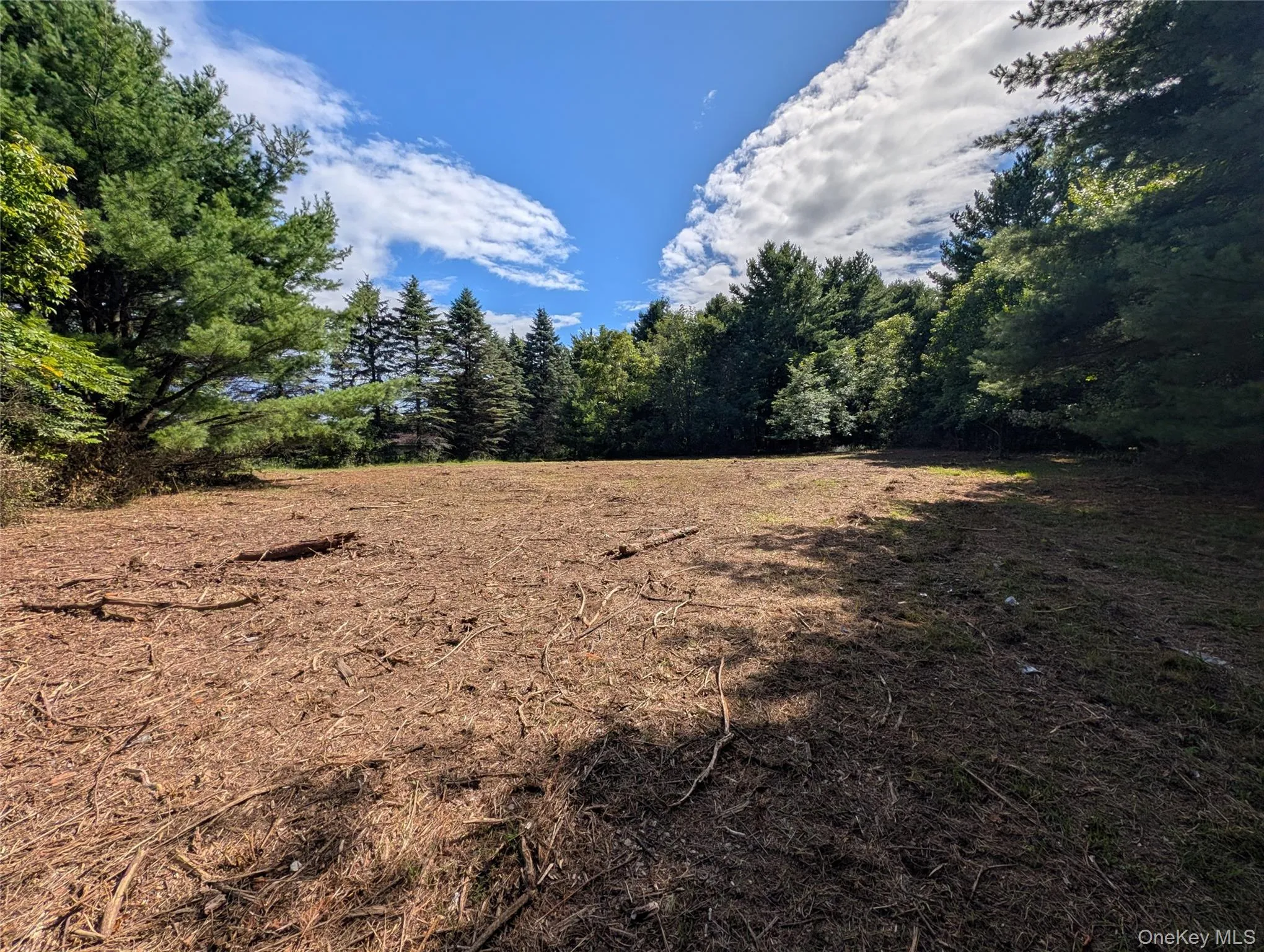 Cleared lot up on the ridge. Great opportunity for a building location with the right approvals. Cleared lot up on the ridge. Great opportunity for a building location with the right approvals.