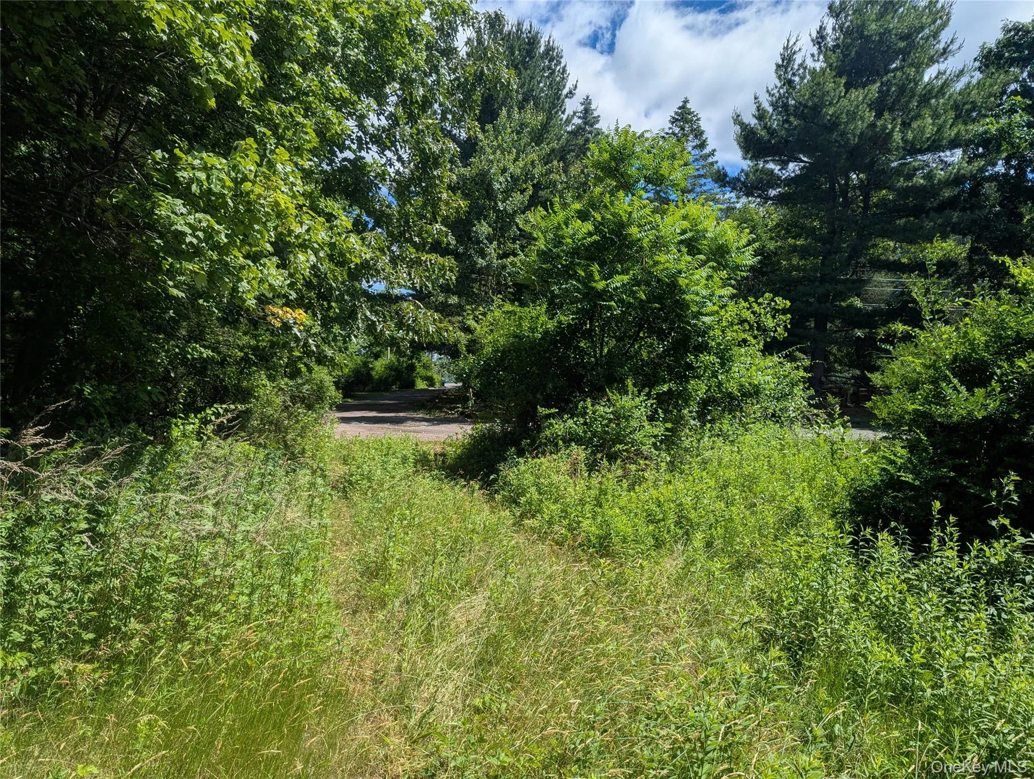 The "Ridge" potential future buildable lot located further up High View Terrace The "Ridge" potential future buildable lot located further up High View Terrace