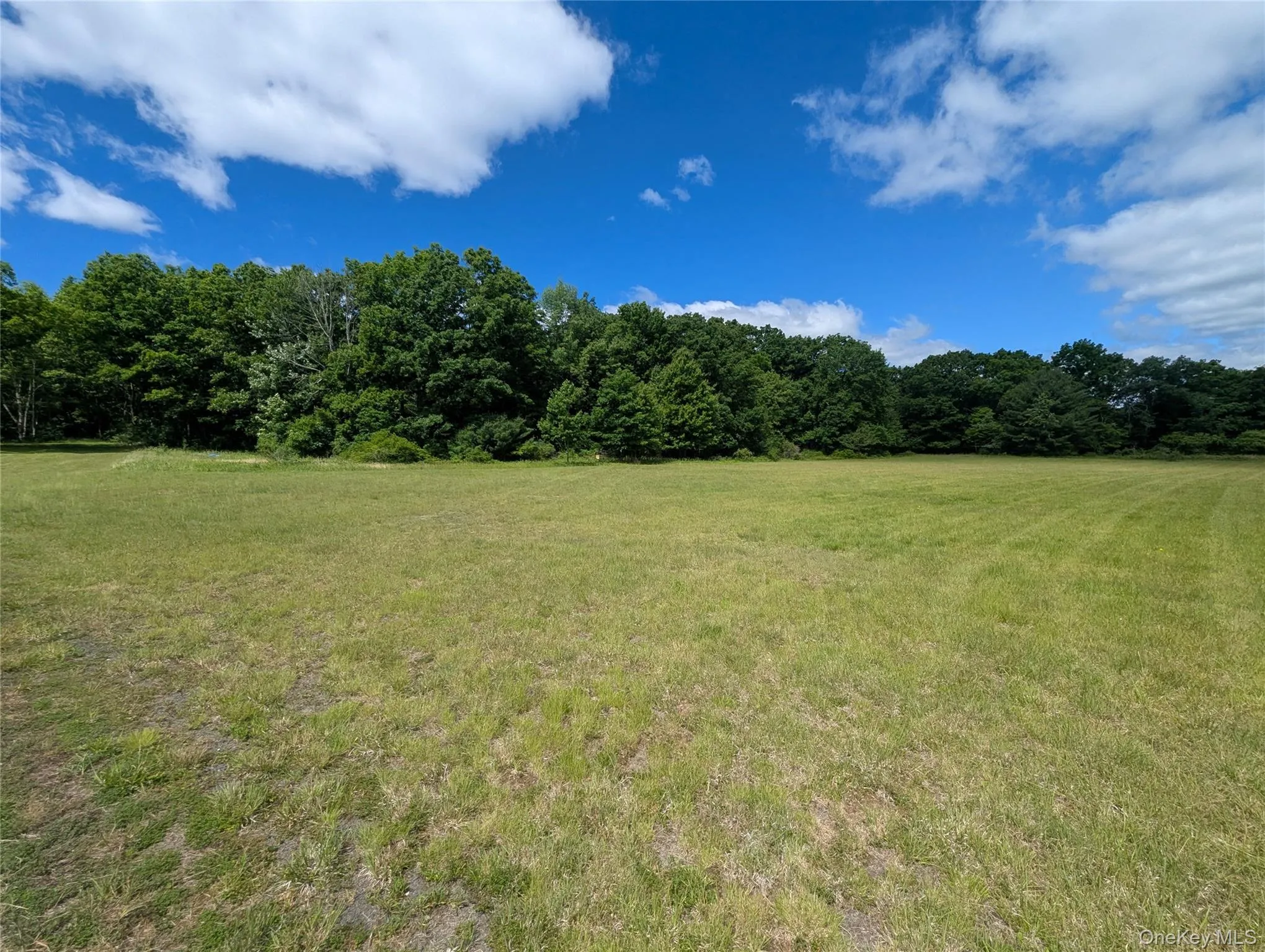 Level, cleared buildable lot Level, cleared buildable lot