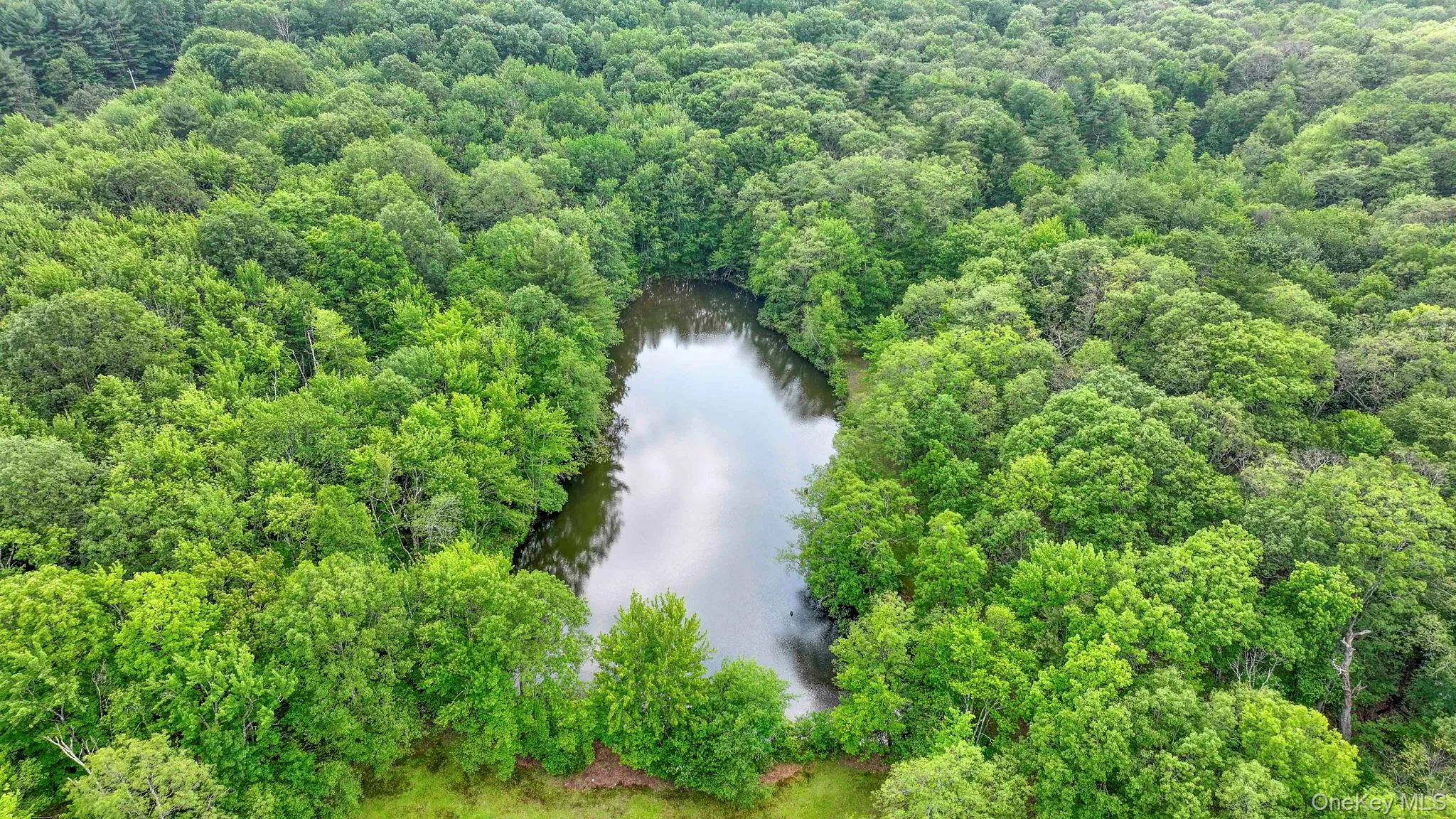 Bird's eye view of a nearby body of water and a heavily wooded area Bird's eye view of a nearby body of water and a heavily wooded area