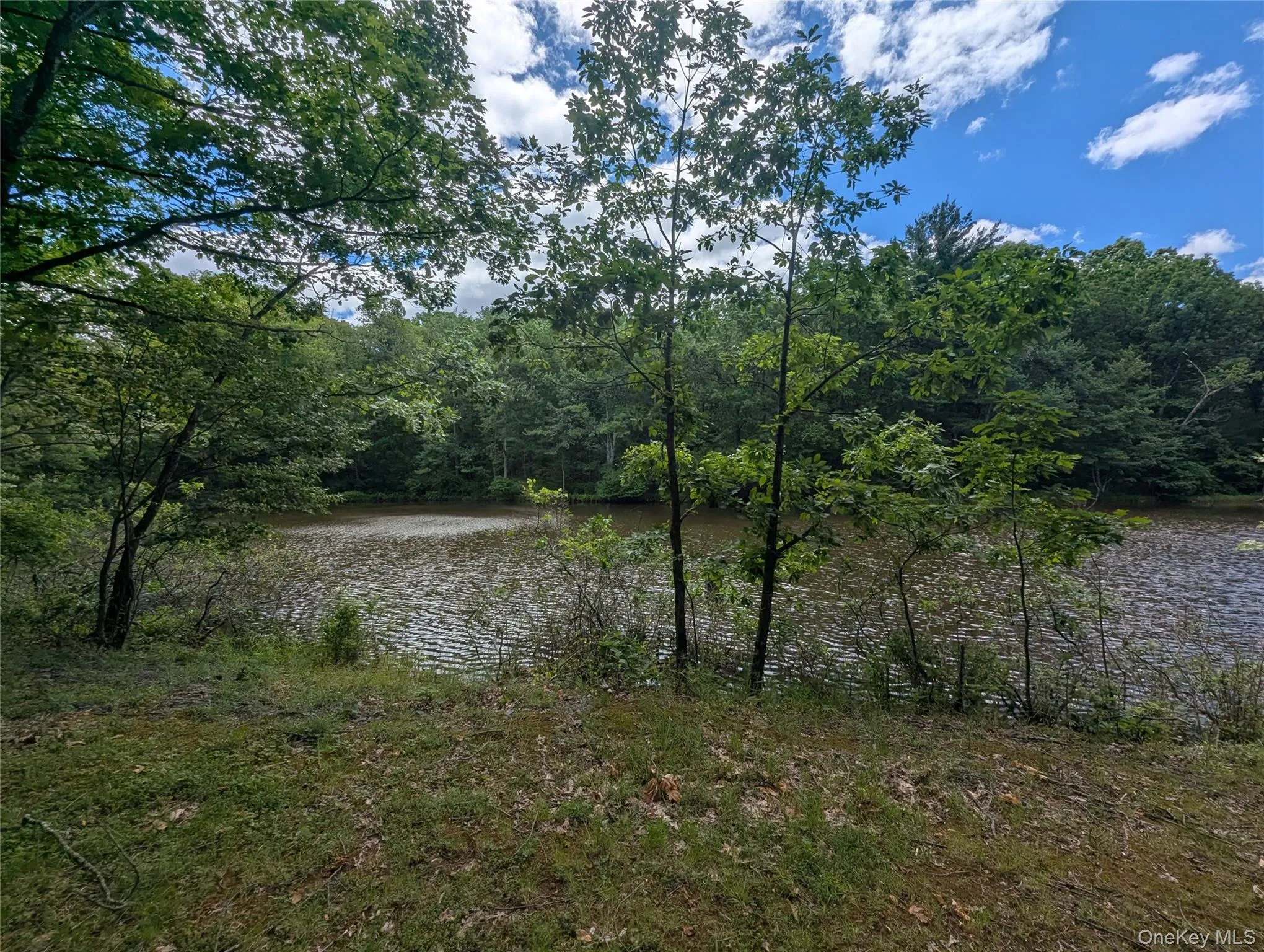 Hide Away Lane, Mamakating, NY, ,Land,For Rent,Hide Away,0,1011443 Hide Away Lane, Mamakating, NY, ,Land,For Rent,Hide Away,0,1011443