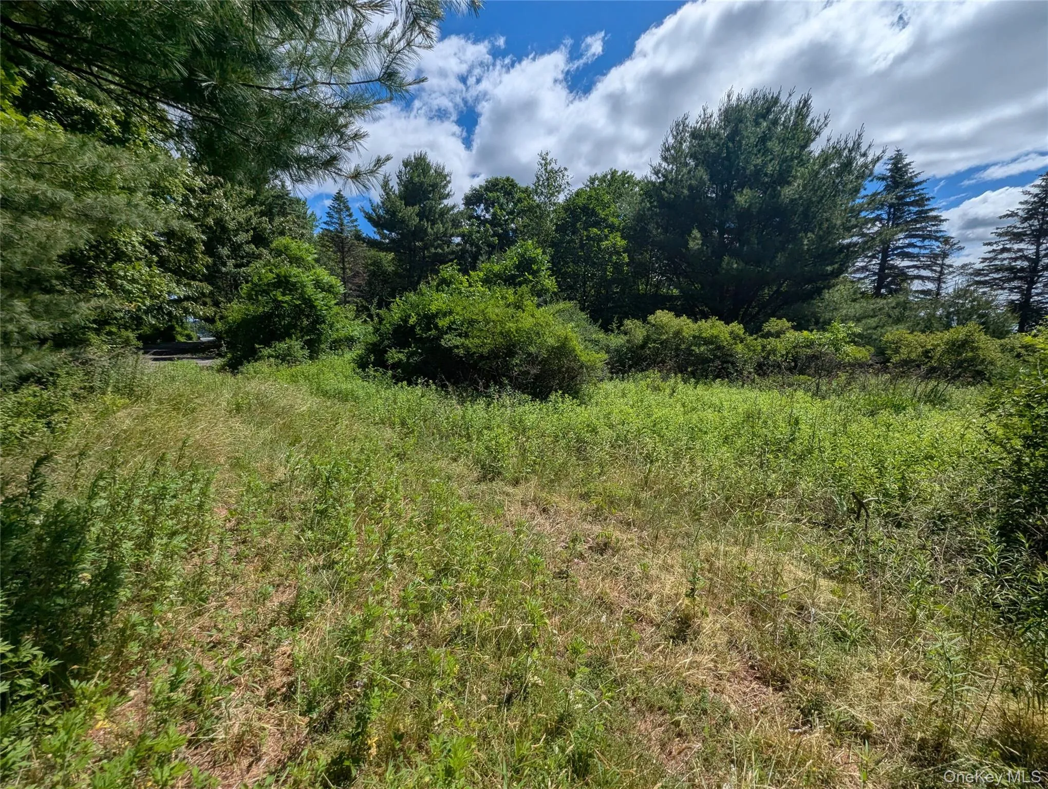The "Ridge" potential future buildable lot located further up High View Terrace The "Ridge" potential future buildable lot located further up High View Terrace