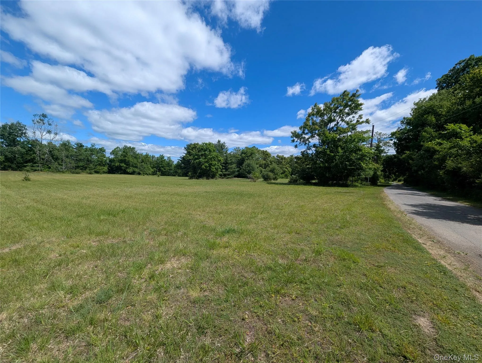 Level, cleared buildable lot Level, cleared buildable lot