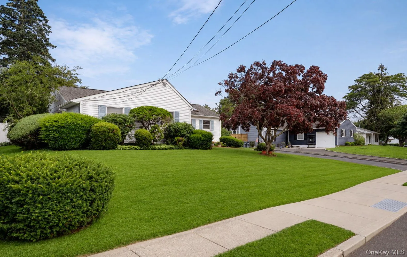 Manicured front lawn with established landscaping and mature trees Manicured front lawn with established landscaping and mature trees