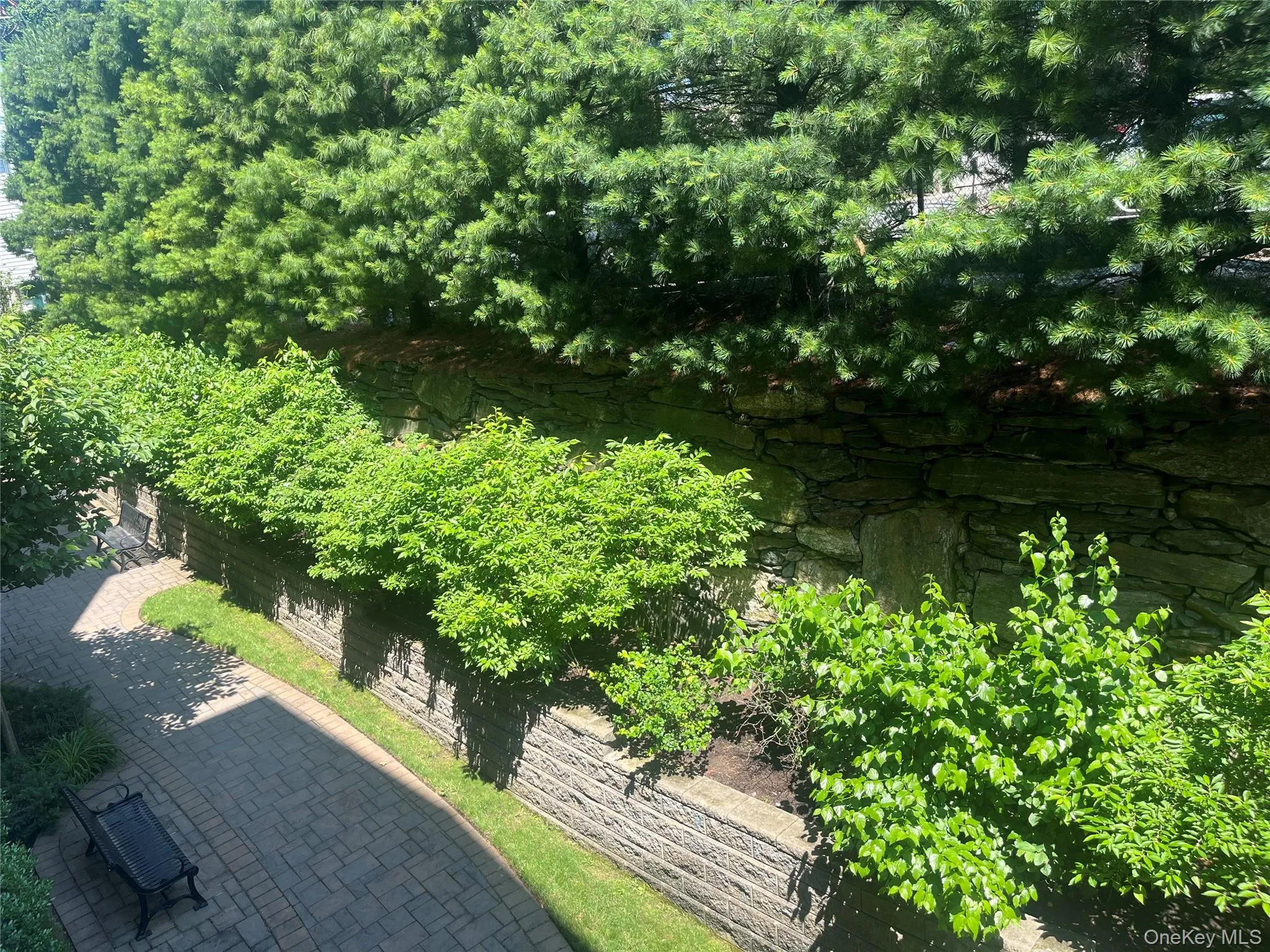 40 Jackson Avenue, Eastchester, NY, 1 Bedroom Bedrooms, 3 Rooms Rooms,1 BathroomBathrooms,Residential Lease,For Rent,Jackson,0,1011494 40 Jackson Avenue, Eastchester, NY, 1 Bedroom Bedrooms, 3 Rooms Rooms,1 BathroomBathrooms,Residential Lease,For Rent,Jackson,0,1011494