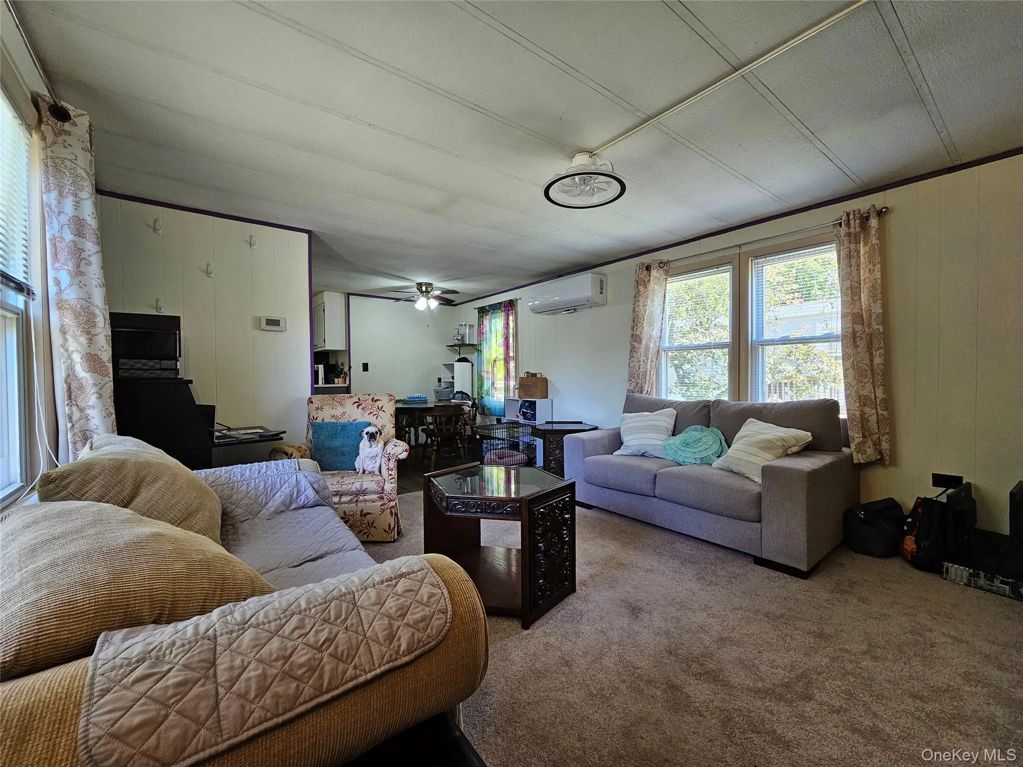 Spacious living area featuring carpet flooring, dual windows, and an overhead lighting fixture Spacious living area featuring carpet flooring, dual windows, and an overhead lighting fixture