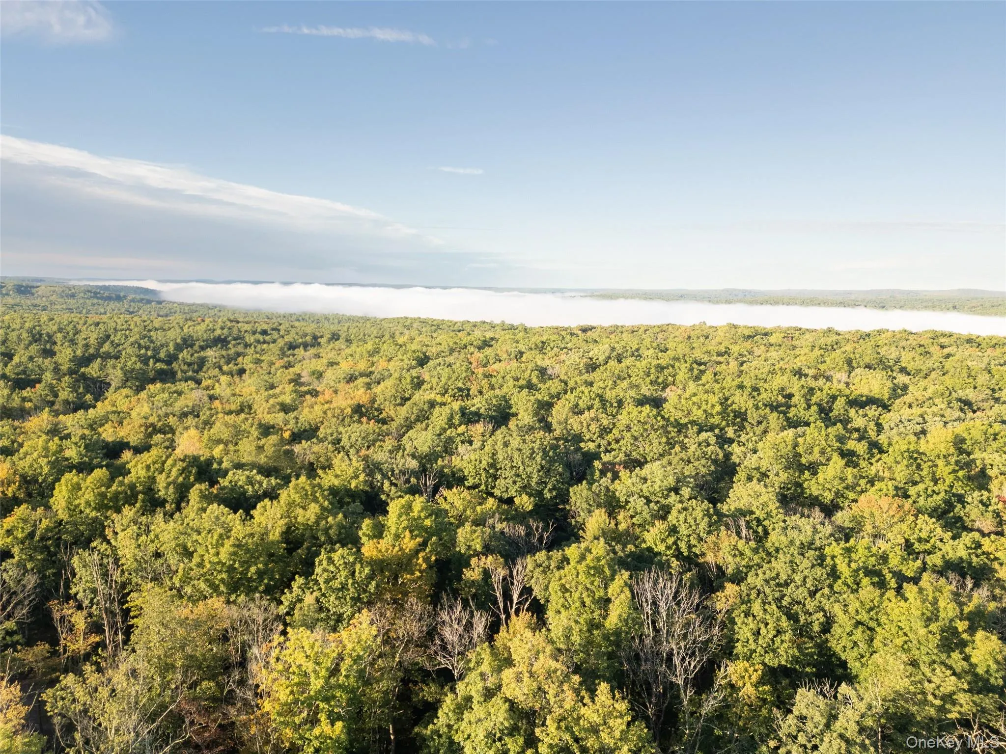 91 Lenni Lenape Road, Tusten, NY, 4 Bedrooms Bedrooms, 11 Rooms Rooms,3 BathroomsBathrooms,Residential,For Rent,Lenni Lenape,0,1011531 91 Lenni Lenape Road, Tusten, NY, 4 Bedrooms Bedrooms, 11 Rooms Rooms,3 BathroomsBathrooms,Residential,For Rent,Lenni Lenape,0,1011531