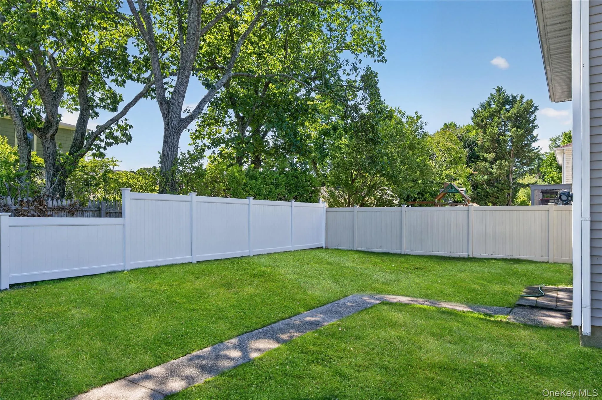 Backyard Backyard