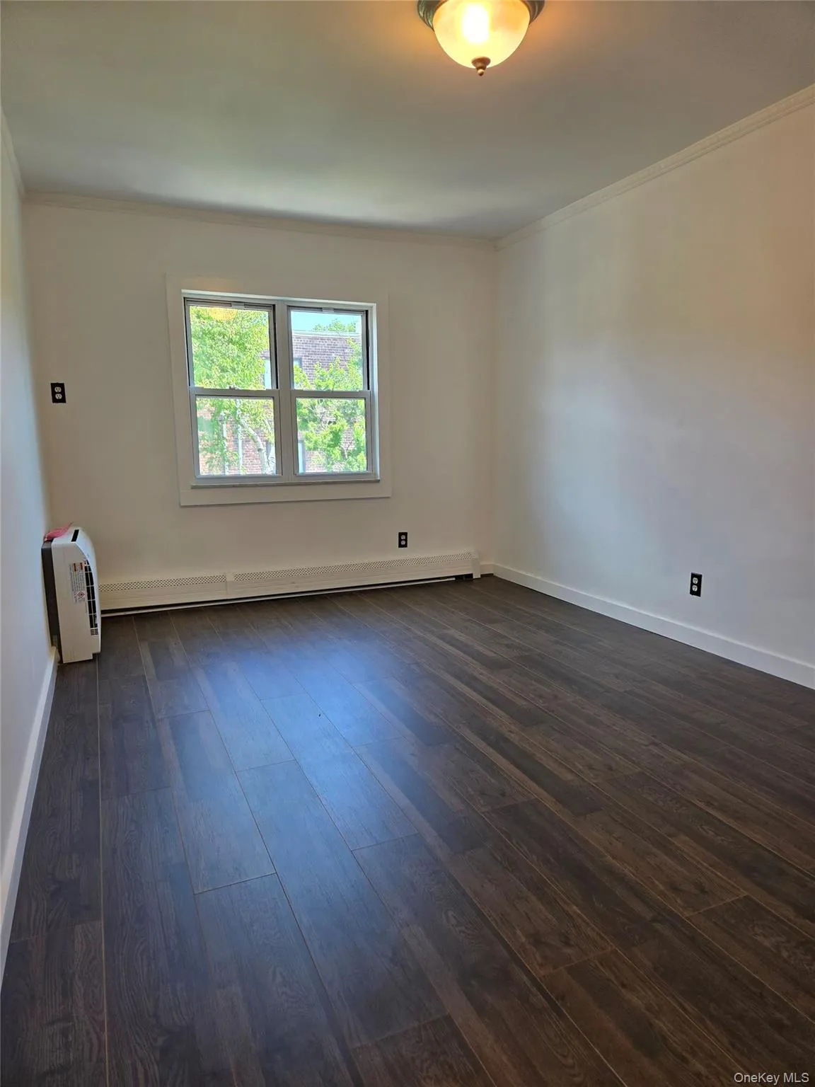 6223 69th Place, New York, NY, 2 Bedrooms Bedrooms, 5 Rooms Rooms,1 BathroomBathrooms,Residential Lease,For Rent,69th,0,1011545 6223 69th Place, New York, NY, 2 Bedrooms Bedrooms, 5 Rooms Rooms,1 BathroomBathrooms,Residential Lease,For Rent,69th,0,1011545