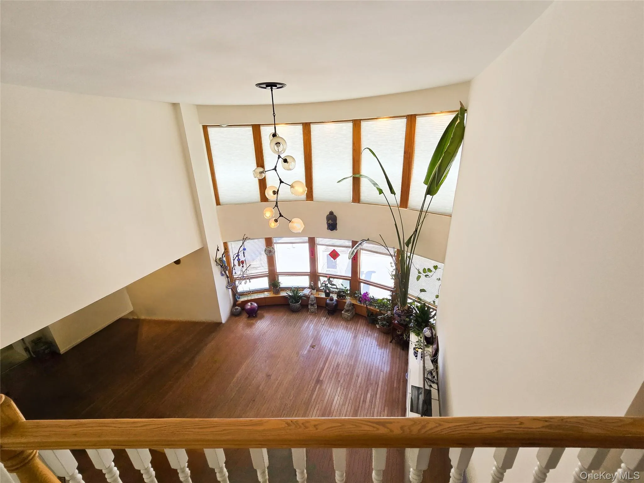 133-47 Sanford Avenue, New York, NY, 4 Bedrooms Bedrooms, 8 Rooms Rooms,3 BathroomsBathrooms,Residential,For Rent,Sanford,0,1011559 133-47 Sanford Avenue, New York, NY, 4 Bedrooms Bedrooms, 8 Rooms Rooms,3 BathroomsBathrooms,Residential,For Rent,Sanford,0,1011559
