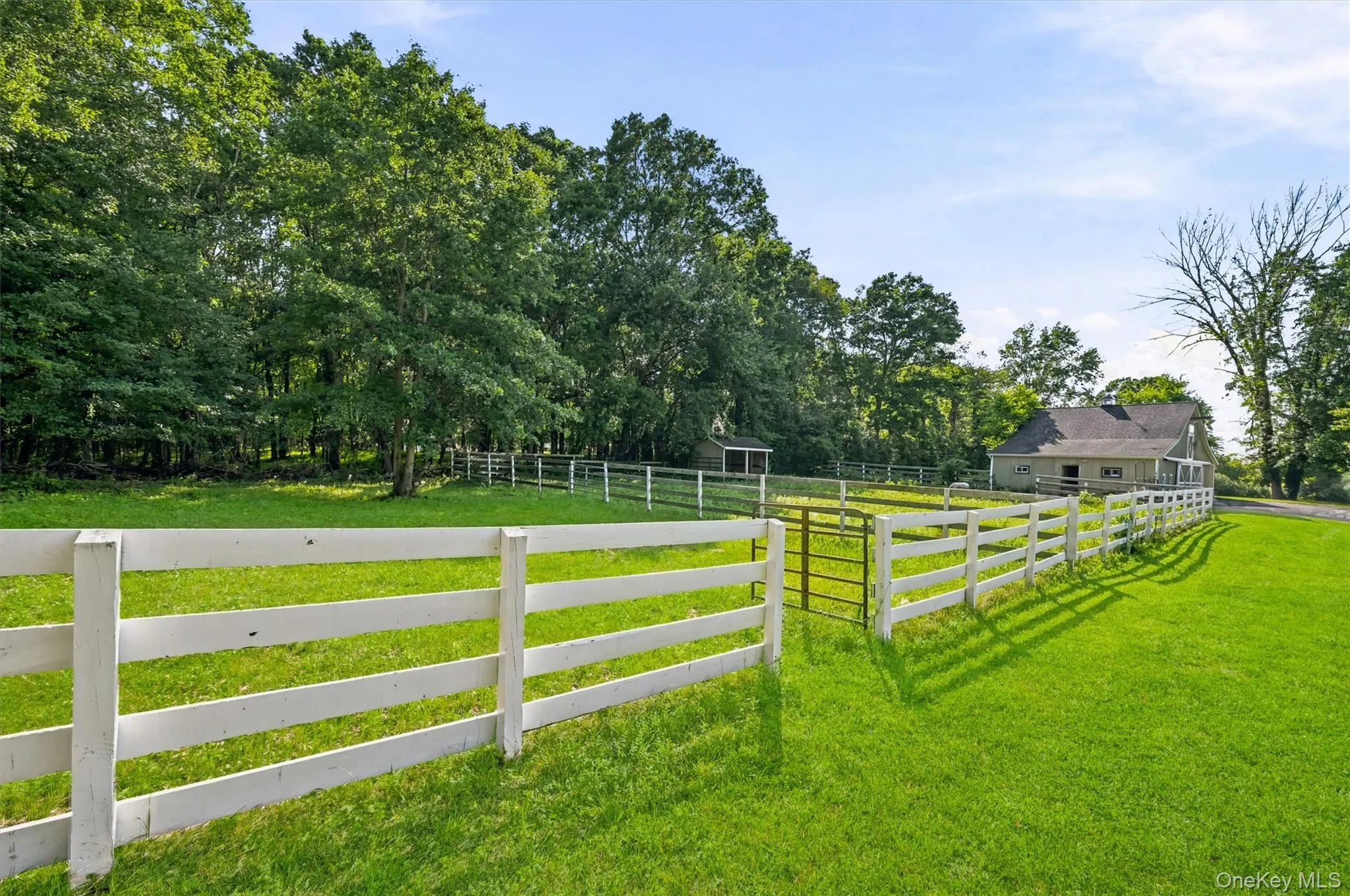 Barn with Paddocks Barn with Paddocks