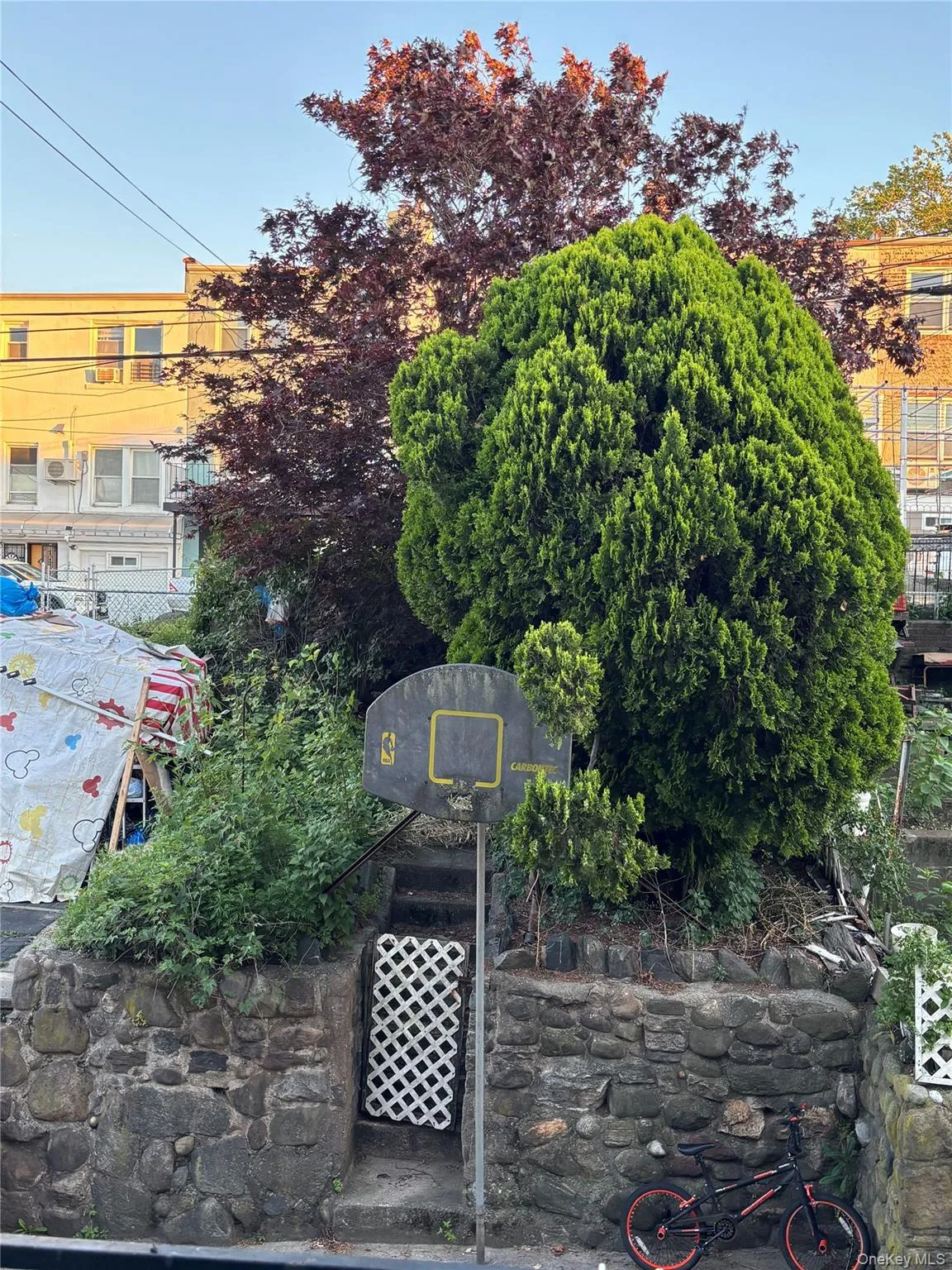 7350 52nd Road, New York, NY, 3 Bedrooms Bedrooms, 6 Rooms Rooms,2 BathroomsBathrooms,Residential,For Rent,52nd,0,1011598 7350 52nd Road, New York, NY, 3 Bedrooms Bedrooms, 6 Rooms Rooms,2 BathroomsBathrooms,Residential,For Rent,52nd,0,1011598