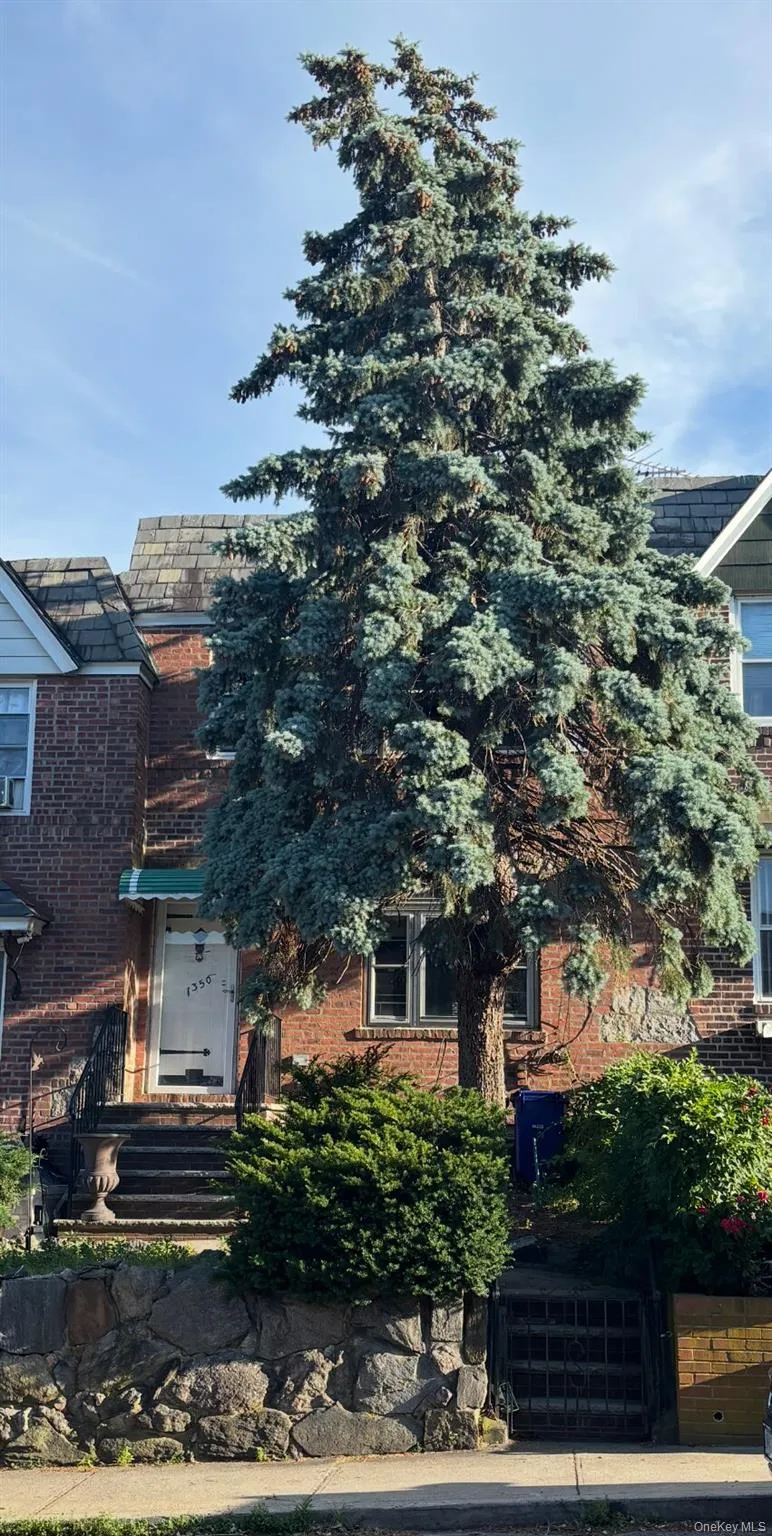 7350 52nd Road, New York, NY, 3 Bedrooms Bedrooms, 6 Rooms Rooms,2 BathroomsBathrooms,Residential,For Rent,52nd,0,1011598 7350 52nd Road, New York, NY, 3 Bedrooms Bedrooms, 6 Rooms Rooms,2 BathroomsBathrooms,Residential,For Rent,52nd,0,1011598
