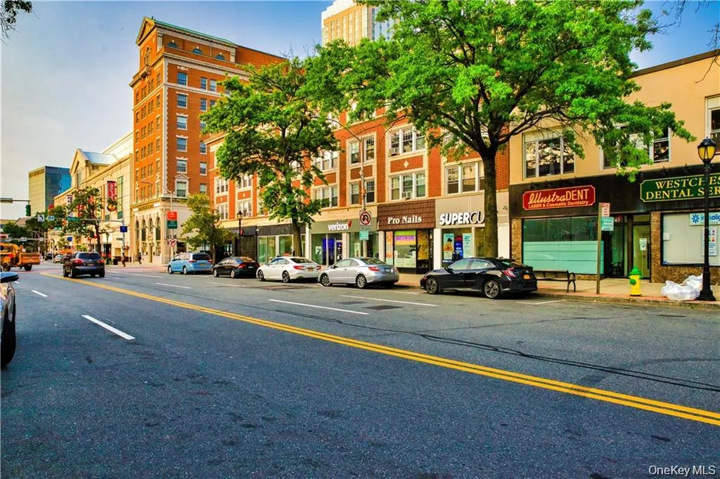 16 Lake Street, White Plains, NY, 1 Bedroom Bedrooms, 3 Rooms Rooms,1 BathroomBathrooms,Residential Lease,For Rent,Lake,0,KEY1011622 16 Lake Street, White Plains, NY, 1 Bedroom Bedrooms, 3 Rooms Rooms,1 BathroomBathrooms,Residential Lease,For Rent,Lake,0,KEY1011622
