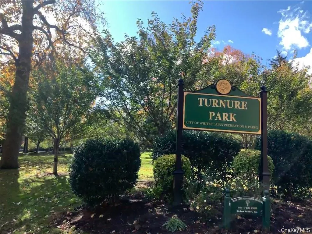 Park Park