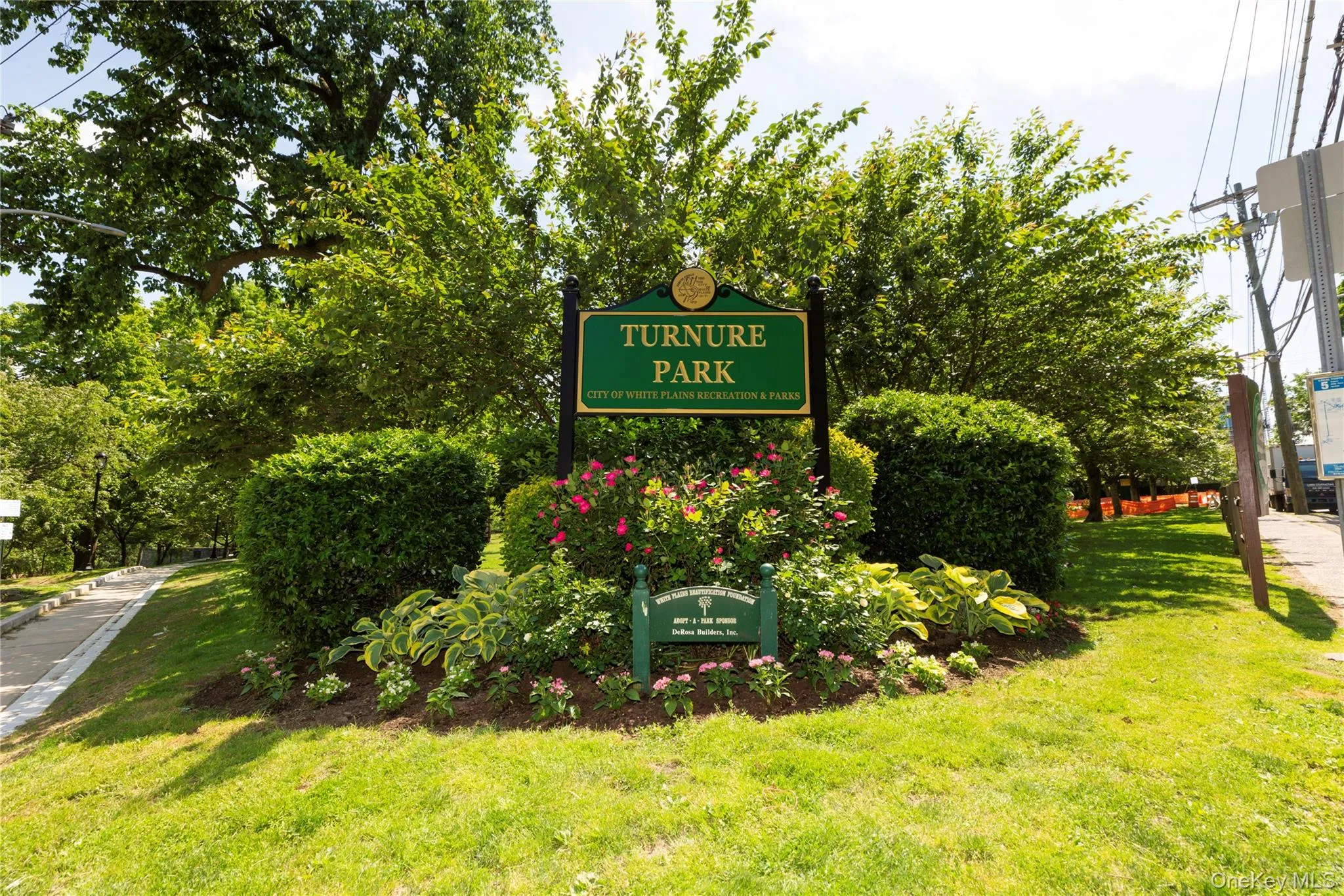 Park Park