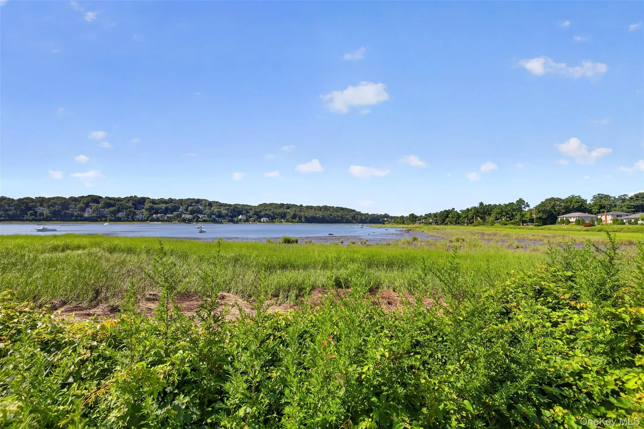 35 Adams Avenue, Oyster Bay, NY, 4 Bedrooms Bedrooms, 8 Rooms Rooms,2 BathroomsBathrooms,Residential,For Rent,Adams,0,1011626 35 Adams Avenue, Oyster Bay, NY, 4 Bedrooms Bedrooms, 8 Rooms Rooms,2 BathroomsBathrooms,Residential,For Rent,Adams,0,1011626