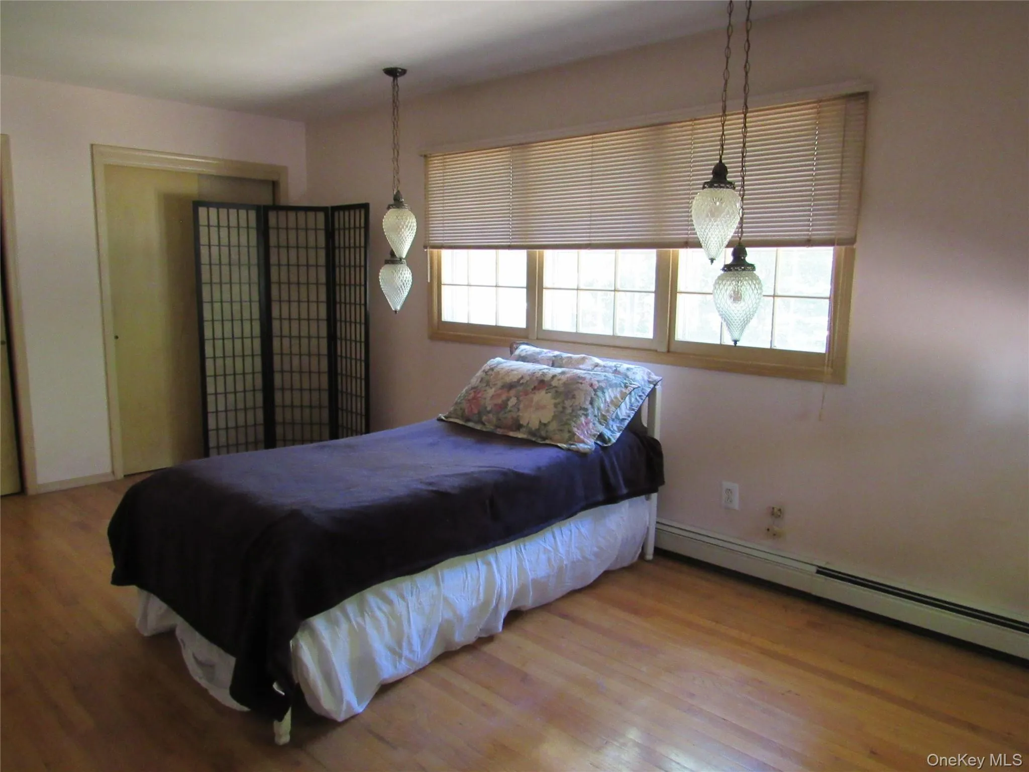 Large bedroom with 2 large closets Large bedroom with 2 large closets