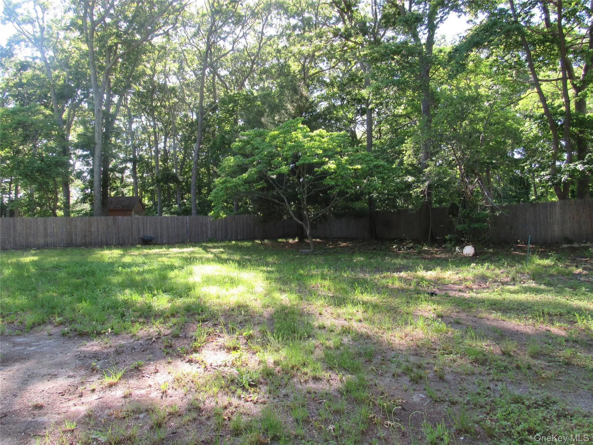 Large rear yard Large rear yard