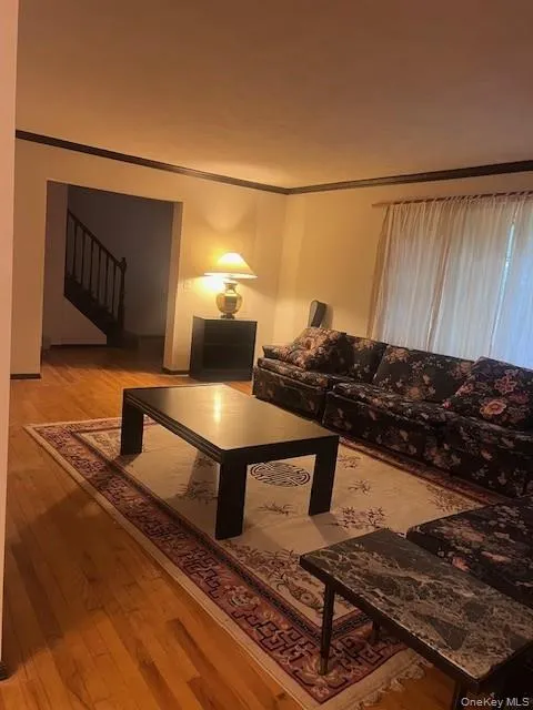 Large living room Large living room