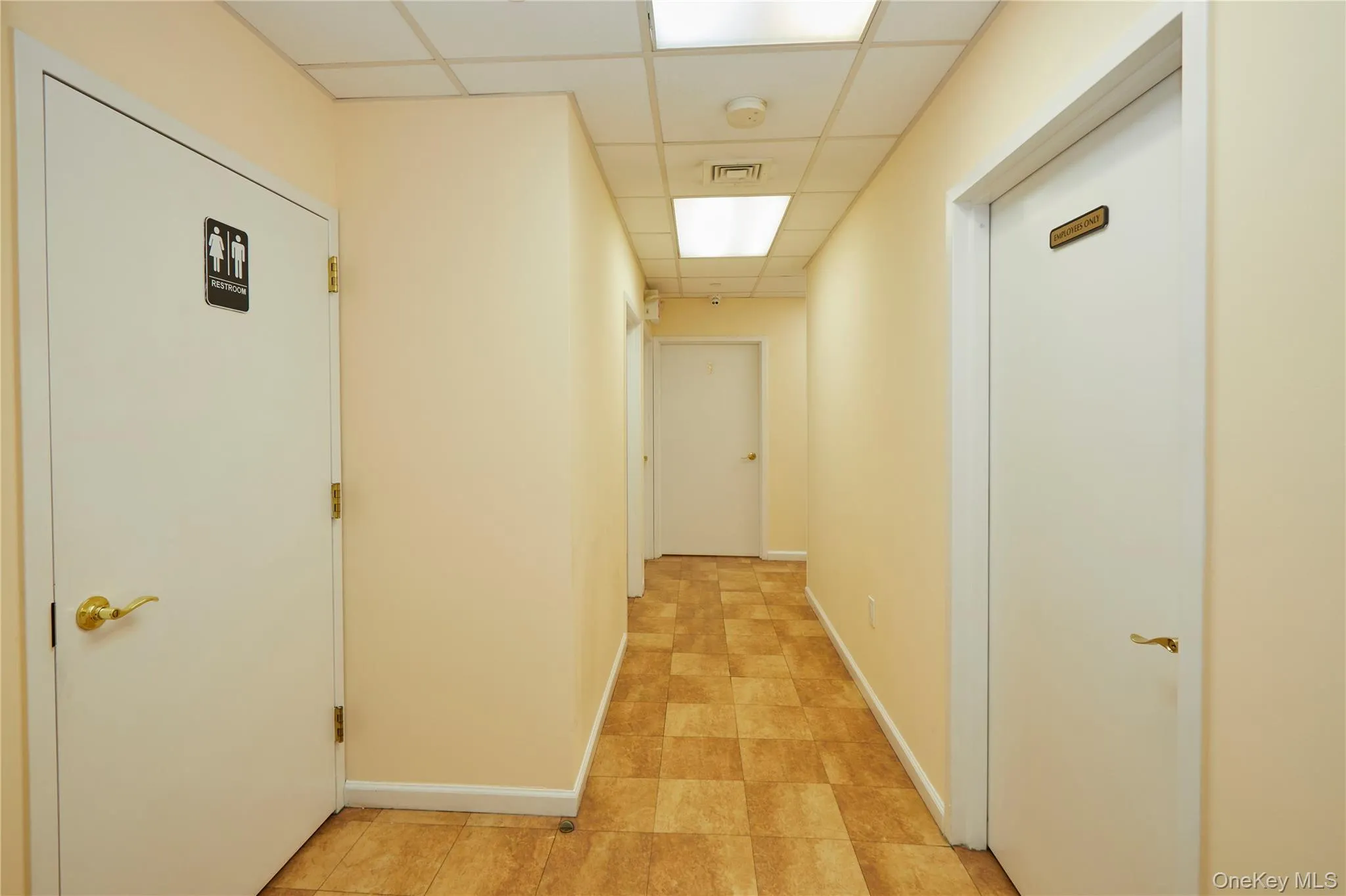 3533 Riverdale Avenue, New York, NY, ,Commercial Lease,For Rent,Riverdale,0,1011645 3533 Riverdale Avenue, New York, NY, ,Commercial Lease,For Rent,Riverdale,0,1011645