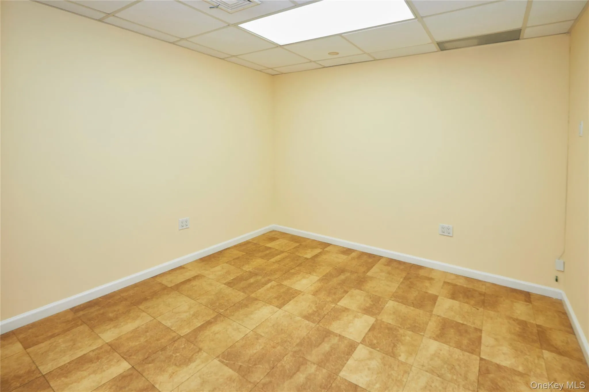 3533 Riverdale Avenue, New York, NY, ,Commercial Lease,For Rent,Riverdale,0,1011645 3533 Riverdale Avenue, New York, NY, ,Commercial Lease,For Rent,Riverdale,0,1011645