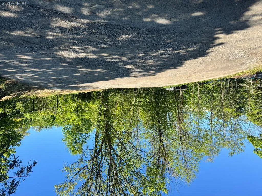 560 Taxter Road, Greenburgh, NY, 6 Bedrooms Bedrooms, 8 Rooms Rooms,6 BathroomsBathrooms,Residential Lease,For Rent,Taxter,0,1011654 560 Taxter Road, Greenburgh, NY, 6 Bedrooms Bedrooms, 8 Rooms Rooms,6 BathroomsBathrooms,Residential Lease,For Rent,Taxter,0,1011654
