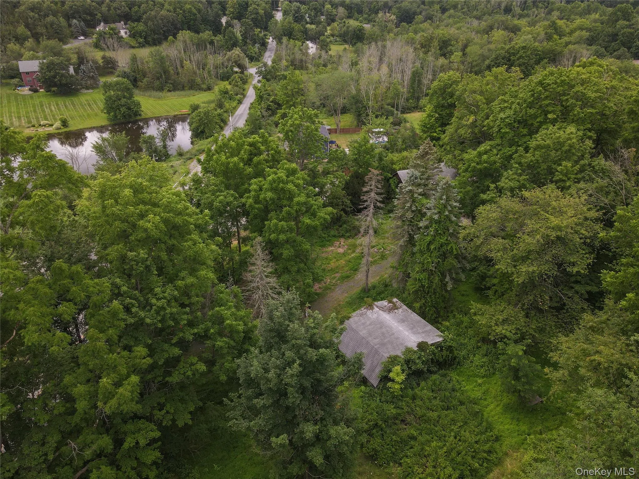Aerial overview of property's location featuring a large body of water and a forest Aerial overview of property's location featuring a large body of water and a forest