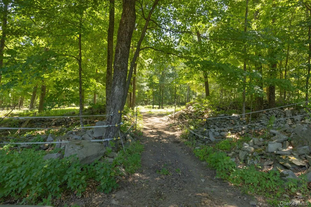 355 Fosler Road, Plattekill, NY, 4 Bedrooms Bedrooms, 10 Rooms Rooms,2 BathroomsBathrooms,Residential,For Rent,Fosler,0,1011709 355 Fosler Road, Plattekill, NY, 4 Bedrooms Bedrooms, 10 Rooms Rooms,2 BathroomsBathrooms,Residential,For Rent,Fosler,0,1011709