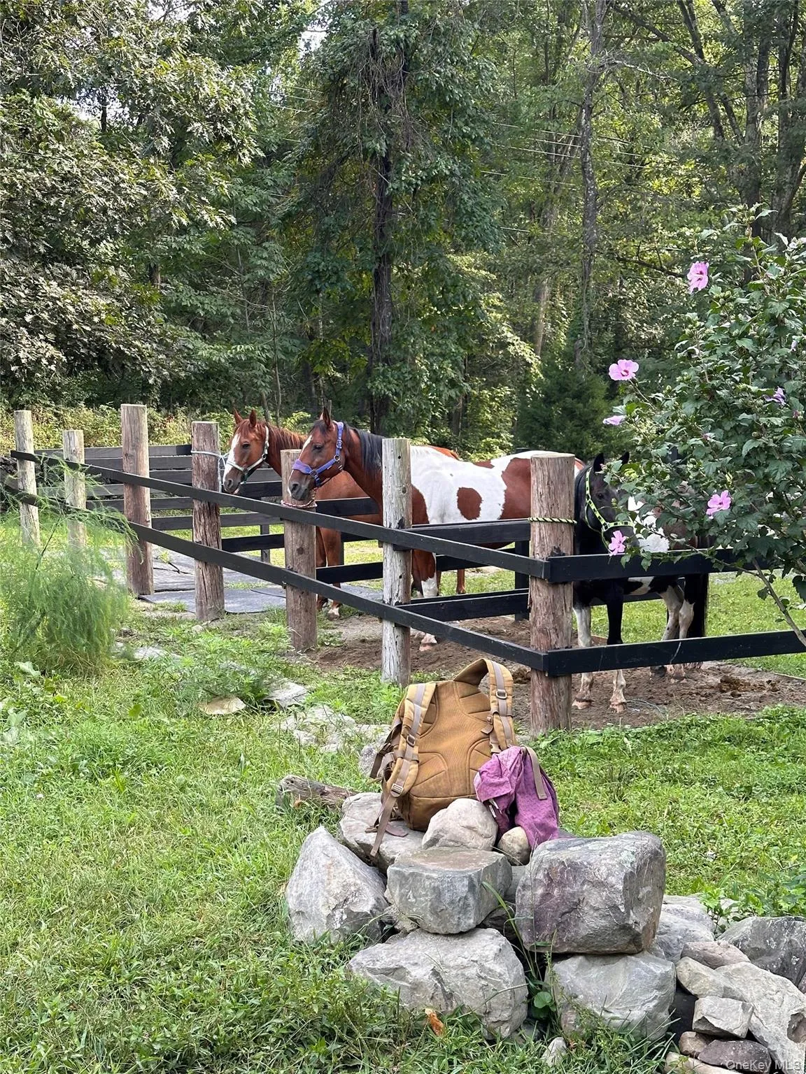 355 Fosler Road, Plattekill, NY, 4 Bedrooms Bedrooms, 10 Rooms Rooms,2 BathroomsBathrooms,Residential,For Rent,Fosler,0,1011709 355 Fosler Road, Plattekill, NY, 4 Bedrooms Bedrooms, 10 Rooms Rooms,2 BathroomsBathrooms,Residential,For Rent,Fosler,0,1011709