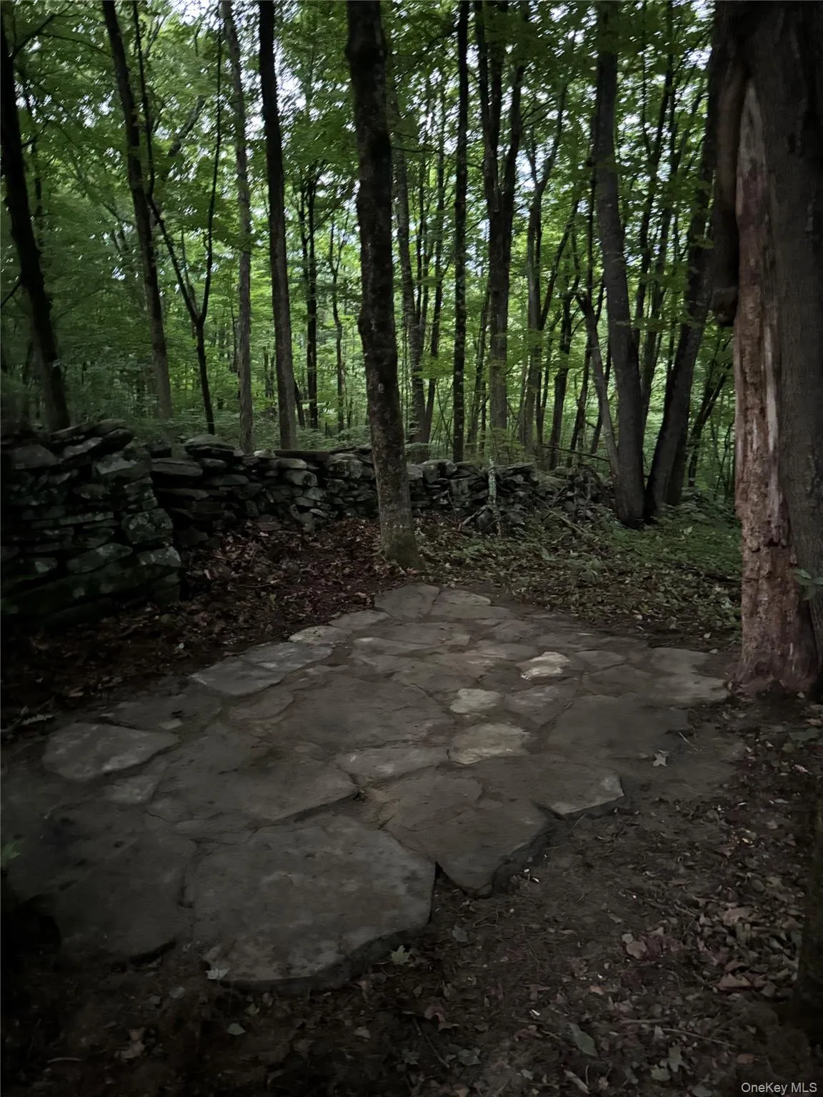 355 Fosler Road, Plattekill, NY, 4 Bedrooms Bedrooms, 10 Rooms Rooms,2 BathroomsBathrooms,Residential,For Rent,Fosler,0,1011709 355 Fosler Road, Plattekill, NY, 4 Bedrooms Bedrooms, 10 Rooms Rooms,2 BathroomsBathrooms,Residential,For Rent,Fosler,0,1011709