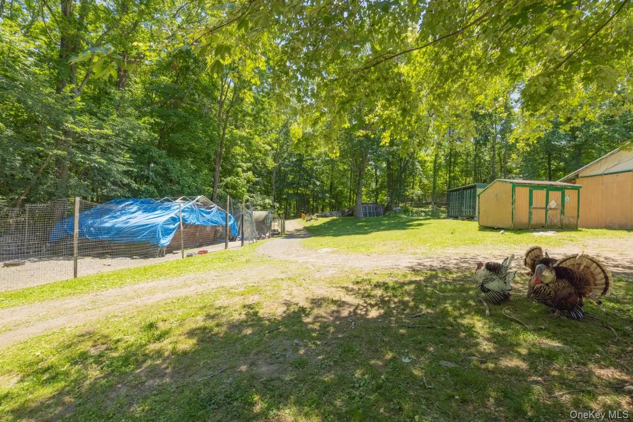 355 Fosler Road, Plattekill, NY, 4 Bedrooms Bedrooms, 10 Rooms Rooms,2 BathroomsBathrooms,Residential,For Rent,Fosler,0,1011709 355 Fosler Road, Plattekill, NY, 4 Bedrooms Bedrooms, 10 Rooms Rooms,2 BathroomsBathrooms,Residential,For Rent,Fosler,0,1011709