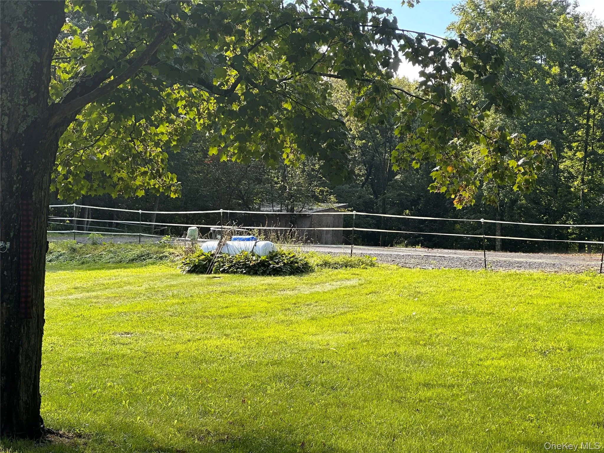 355 Fosler Road, Plattekill, NY, 4 Bedrooms Bedrooms, 10 Rooms Rooms,2 BathroomsBathrooms,Residential,For Rent,Fosler,0,1011709 355 Fosler Road, Plattekill, NY, 4 Bedrooms Bedrooms, 10 Rooms Rooms,2 BathroomsBathrooms,Residential,For Rent,Fosler,0,1011709