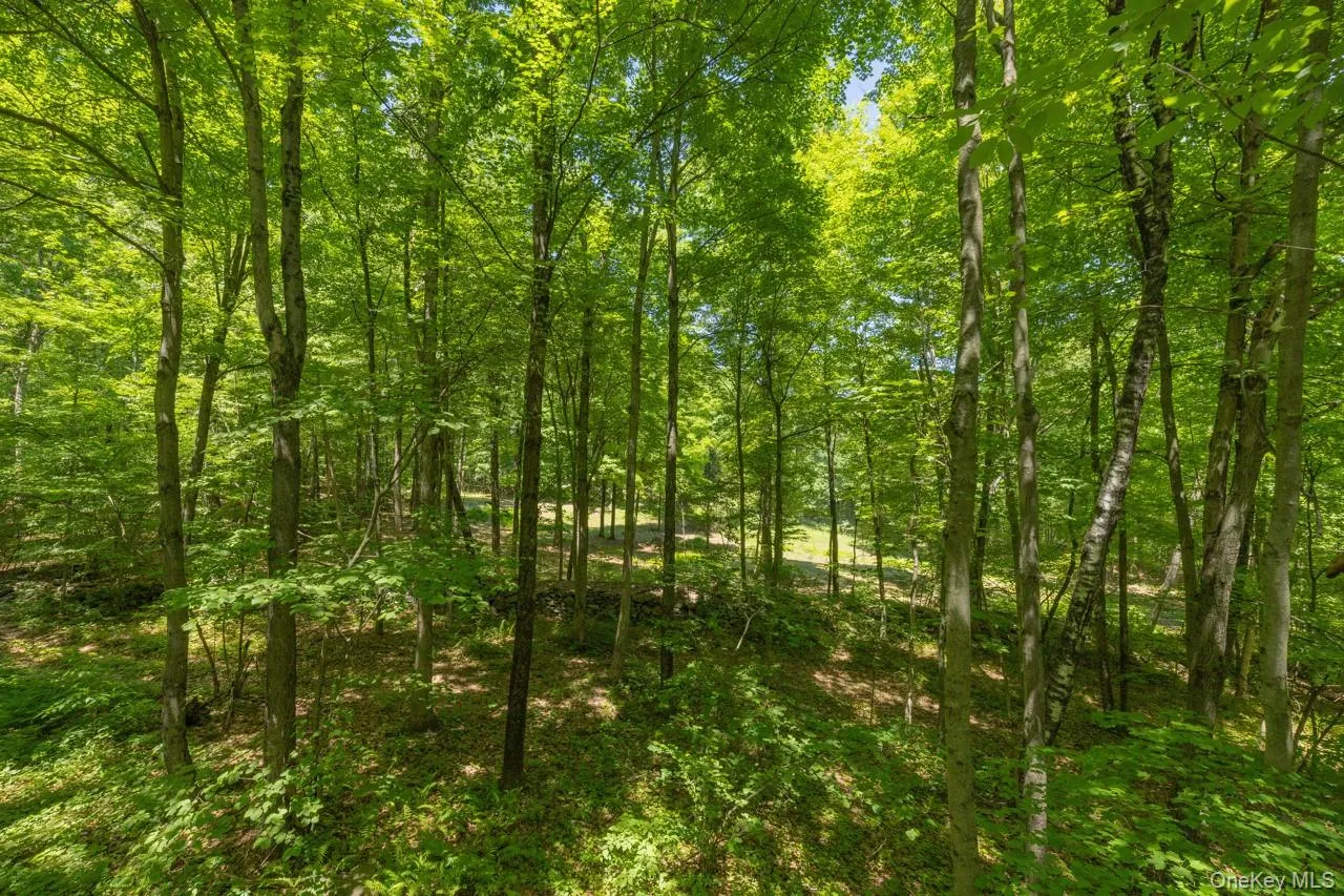 355 Fosler Road, Plattekill, NY, 4 Bedrooms Bedrooms, 10 Rooms Rooms,2 BathroomsBathrooms,Residential,For Rent,Fosler,0,1011709 355 Fosler Road, Plattekill, NY, 4 Bedrooms Bedrooms, 10 Rooms Rooms,2 BathroomsBathrooms,Residential,For Rent,Fosler,0,1011709
