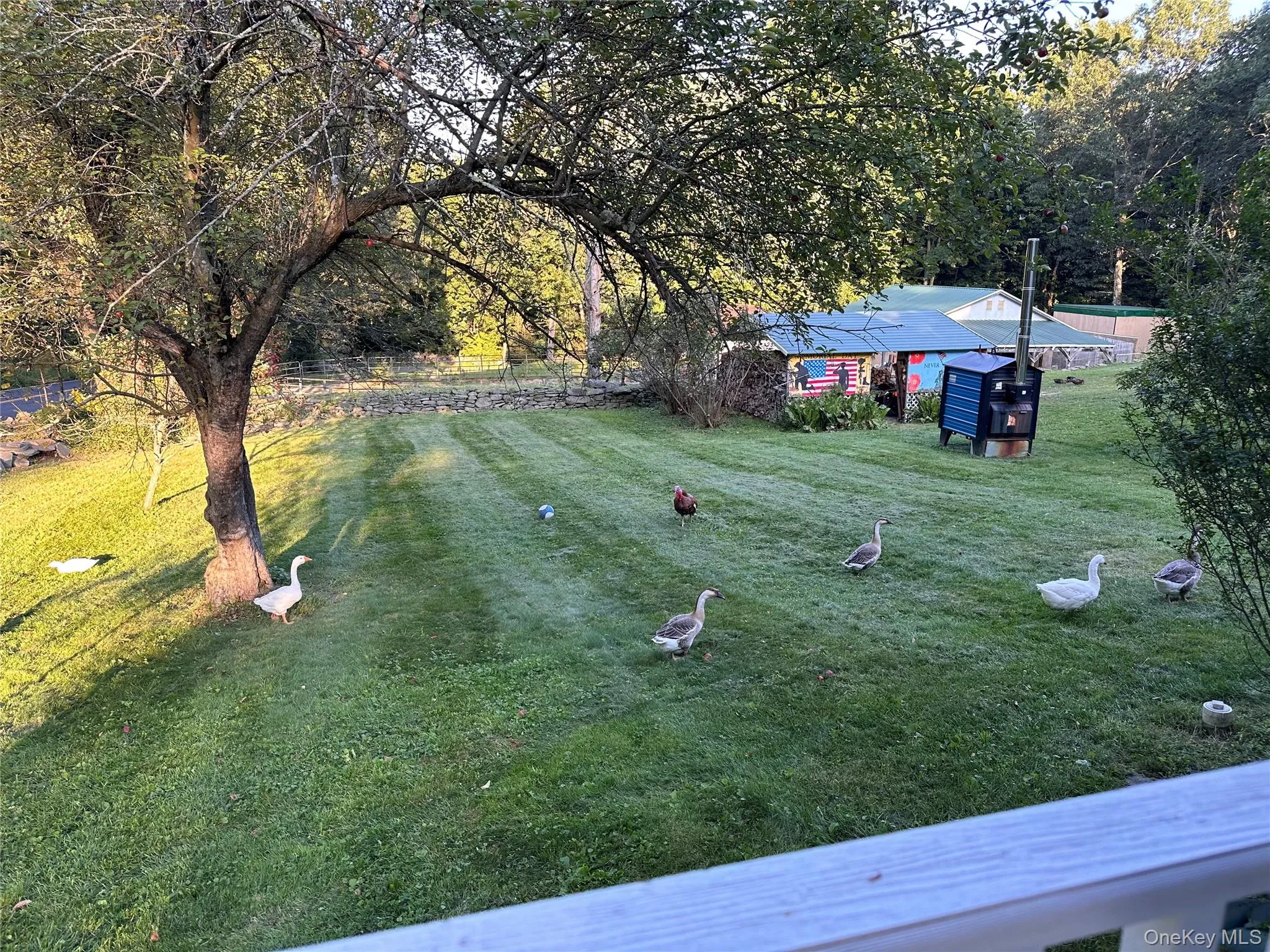 355 Fosler Road, Plattekill, NY, 4 Bedrooms Bedrooms, 10 Rooms Rooms,2 BathroomsBathrooms,Residential,For Rent,Fosler,0,1011709 355 Fosler Road, Plattekill, NY, 4 Bedrooms Bedrooms, 10 Rooms Rooms,2 BathroomsBathrooms,Residential,For Rent,Fosler,0,1011709