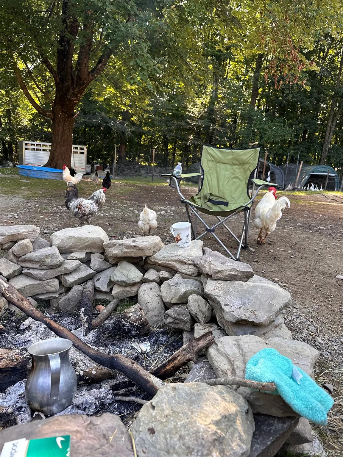 355 Fosler Road, Plattekill, NY, 4 Bedrooms Bedrooms, 10 Rooms Rooms,2 BathroomsBathrooms,Residential,For Rent,Fosler,0,1011709 355 Fosler Road, Plattekill, NY, 4 Bedrooms Bedrooms, 10 Rooms Rooms,2 BathroomsBathrooms,Residential,For Rent,Fosler,0,1011709
