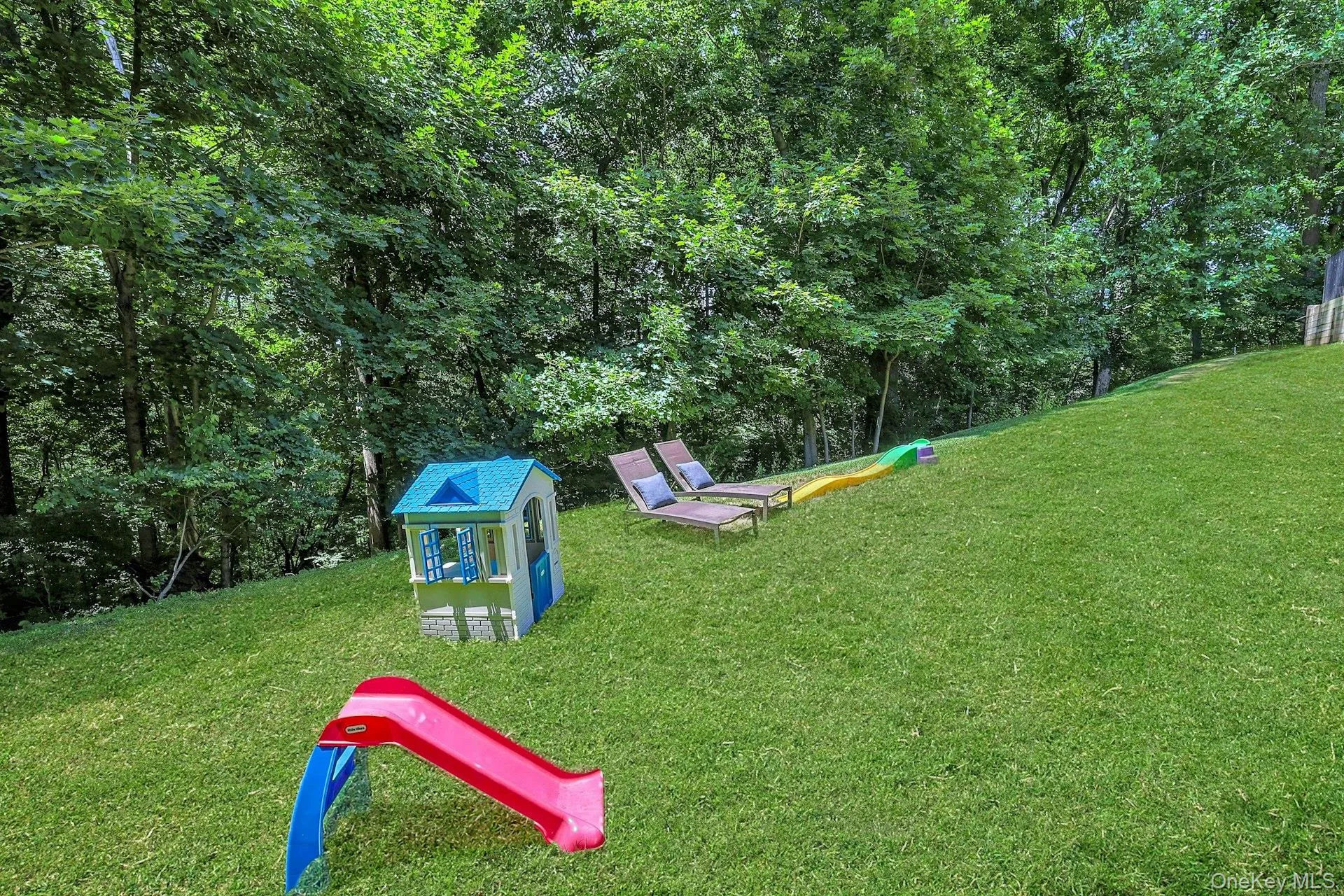 Backyard adjacent to the patio area. Backyard adjacent to the patio area.