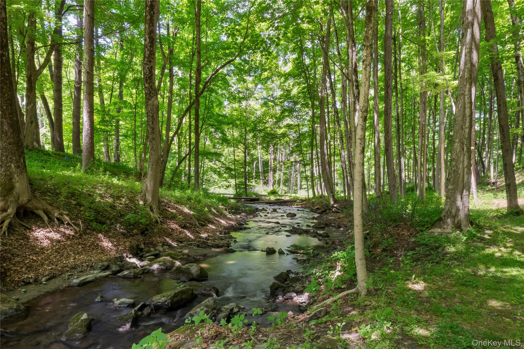 2955 State Route 23, Hillsdale, NY, 2 Bedrooms Bedrooms, 6 Rooms Rooms,2 BathroomsBathrooms,Residential,For Rent,State Route 23,0,1011743 2955 State Route 23, Hillsdale, NY, 2 Bedrooms Bedrooms, 6 Rooms Rooms,2 BathroomsBathrooms,Residential,For Rent,State Route 23,0,1011743