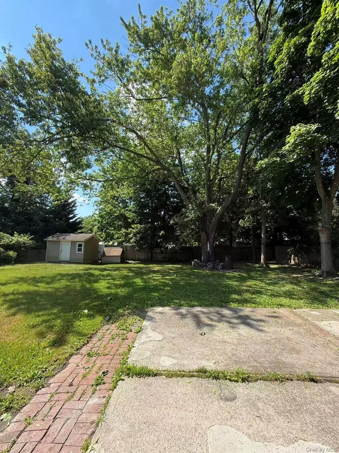 Expansive backyard featuring a large concrete patio, a brick pathway, mature trees, and two storage sheds Expansive backyard featuring a large concrete patio, a brick pathway, mature trees, and two storage sheds