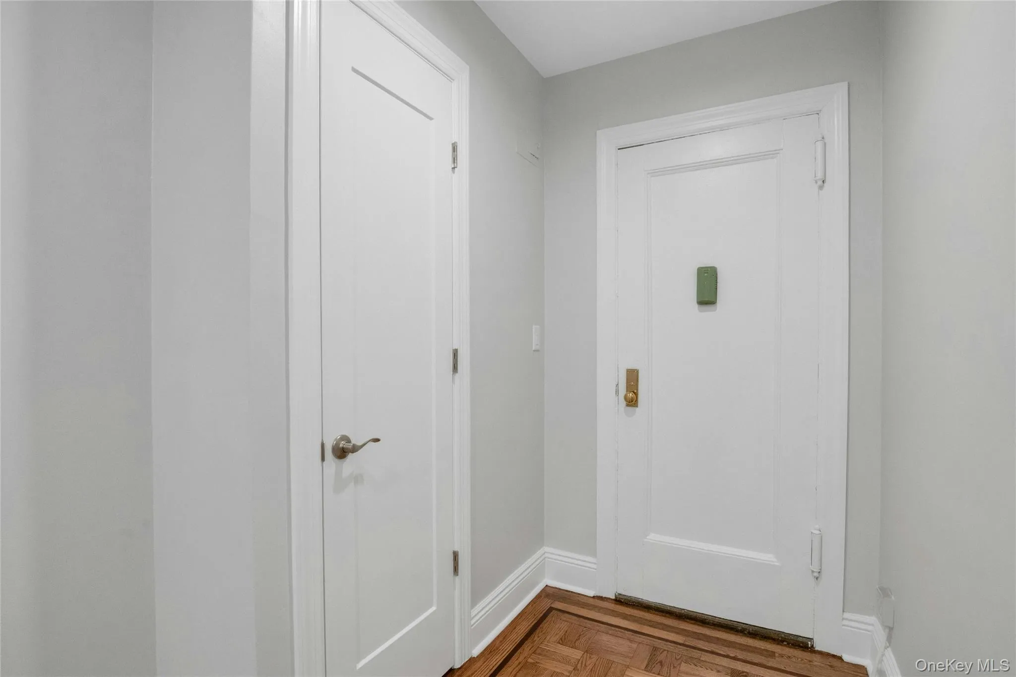 Door from the unit to the foyer with hall closet Door from the unit to the foyer with hall closet