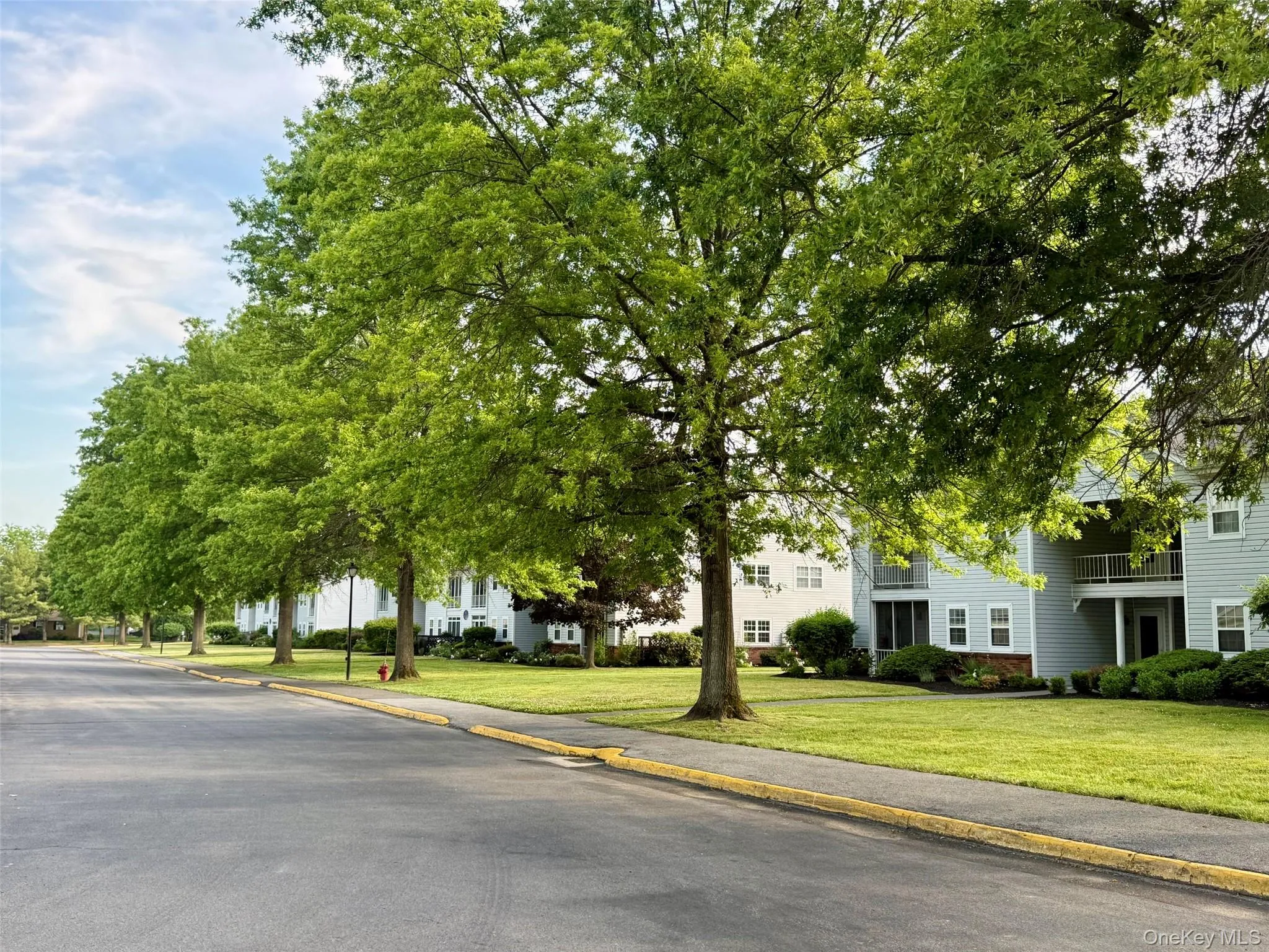 45 Tivoli Gardens, Red Hook, NY, 1 Bedroom Bedrooms, 2 Rooms Rooms,1 BathroomBathrooms,Residential,For Rent,Tivoli,0,1011801 45 Tivoli Gardens, Red Hook, NY, 1 Bedroom Bedrooms, 2 Rooms Rooms,1 BathroomBathrooms,Residential,For Rent,Tivoli,0,1011801