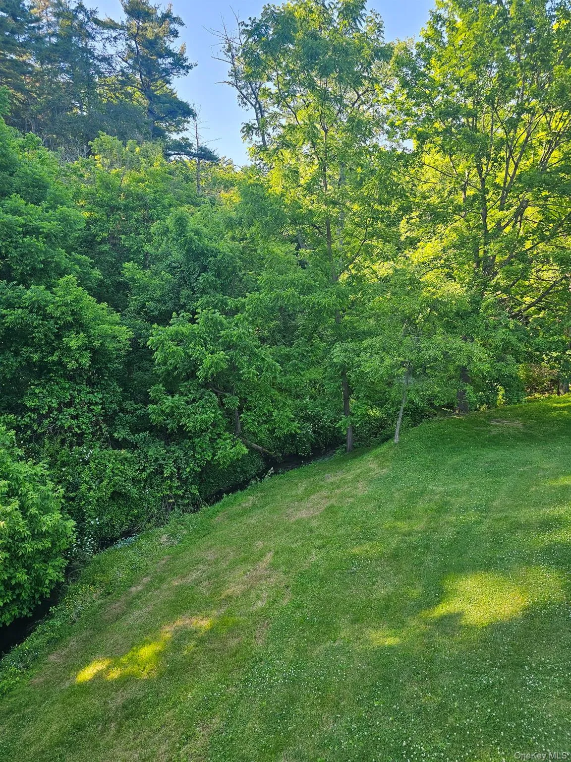 235 Wilbur Avenue, Kingston, NY, 3 Bedrooms Bedrooms, 6 Rooms Rooms,2 BathroomsBathrooms,Residential,For Rent,Wilbur,0,1011812 235 Wilbur Avenue, Kingston, NY, 3 Bedrooms Bedrooms, 6 Rooms Rooms,2 BathroomsBathrooms,Residential,For Rent,Wilbur,0,1011812