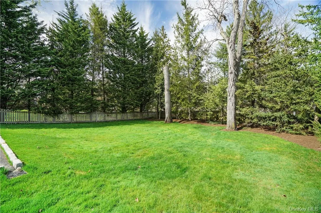 66 Apawamis Avenue, Rye City, NY, 4 Bedrooms Bedrooms, 8 Rooms Rooms,4 BathroomsBathrooms,Residential Lease,For Rent,Apawamis,0,1011821 66 Apawamis Avenue, Rye City, NY, 4 Bedrooms Bedrooms, 8 Rooms Rooms,4 BathroomsBathrooms,Residential Lease,For Rent,Apawamis,0,1011821